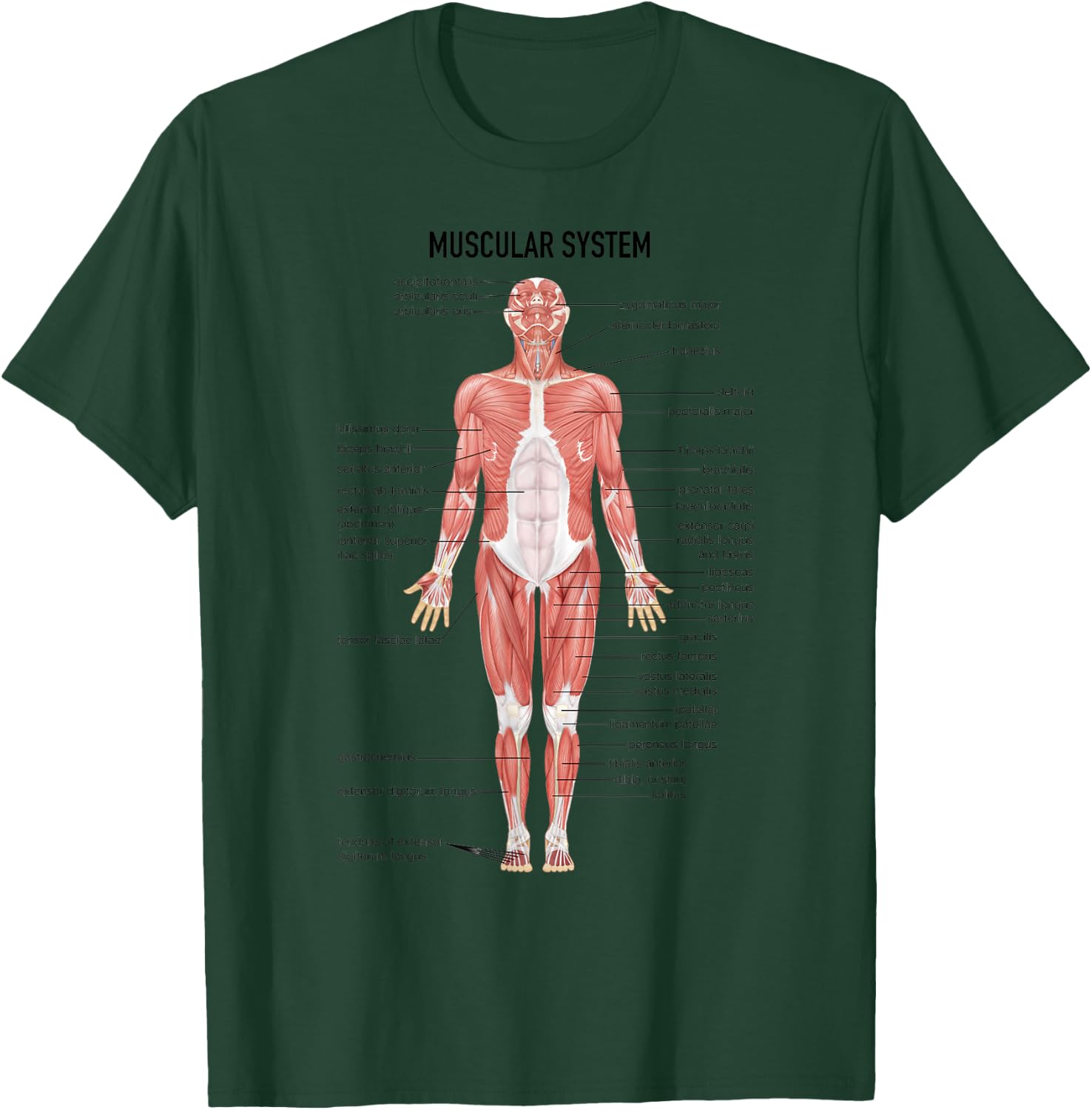 Muscular System Nurse Doctor Funny Med Medical Jokes Humor T-Shirt - T-Shirt | Forest