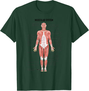 Muscular System Nurse Doctor Funny Med Medical Jokes Humor T-Shirt - T-Shirt | Forest