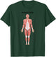 Muscular System Nurse Doctor Funny Med Medical Jokes Humor T-Shirt - T-Shirt | Forest