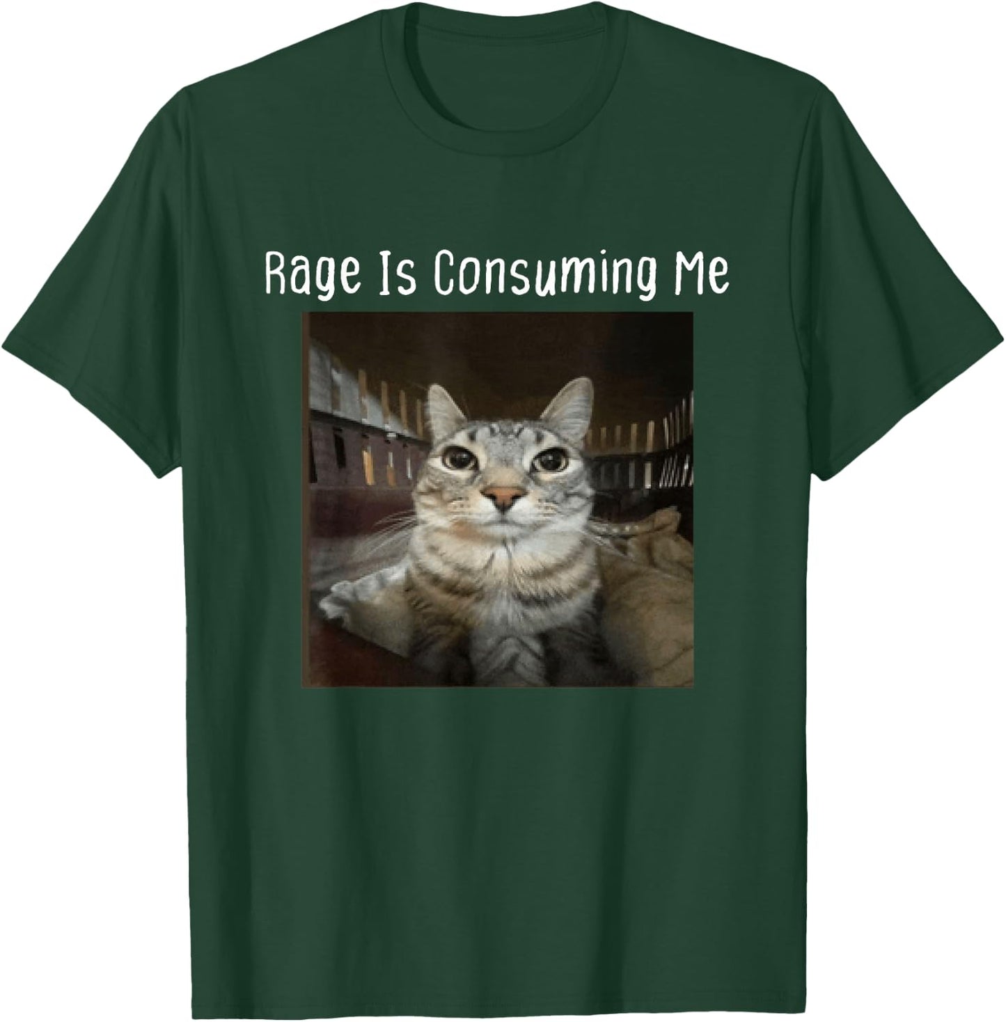 Rage Is Consuming Me Silly Staring Cat Meme T-Shirt - T-Shirt | Forest