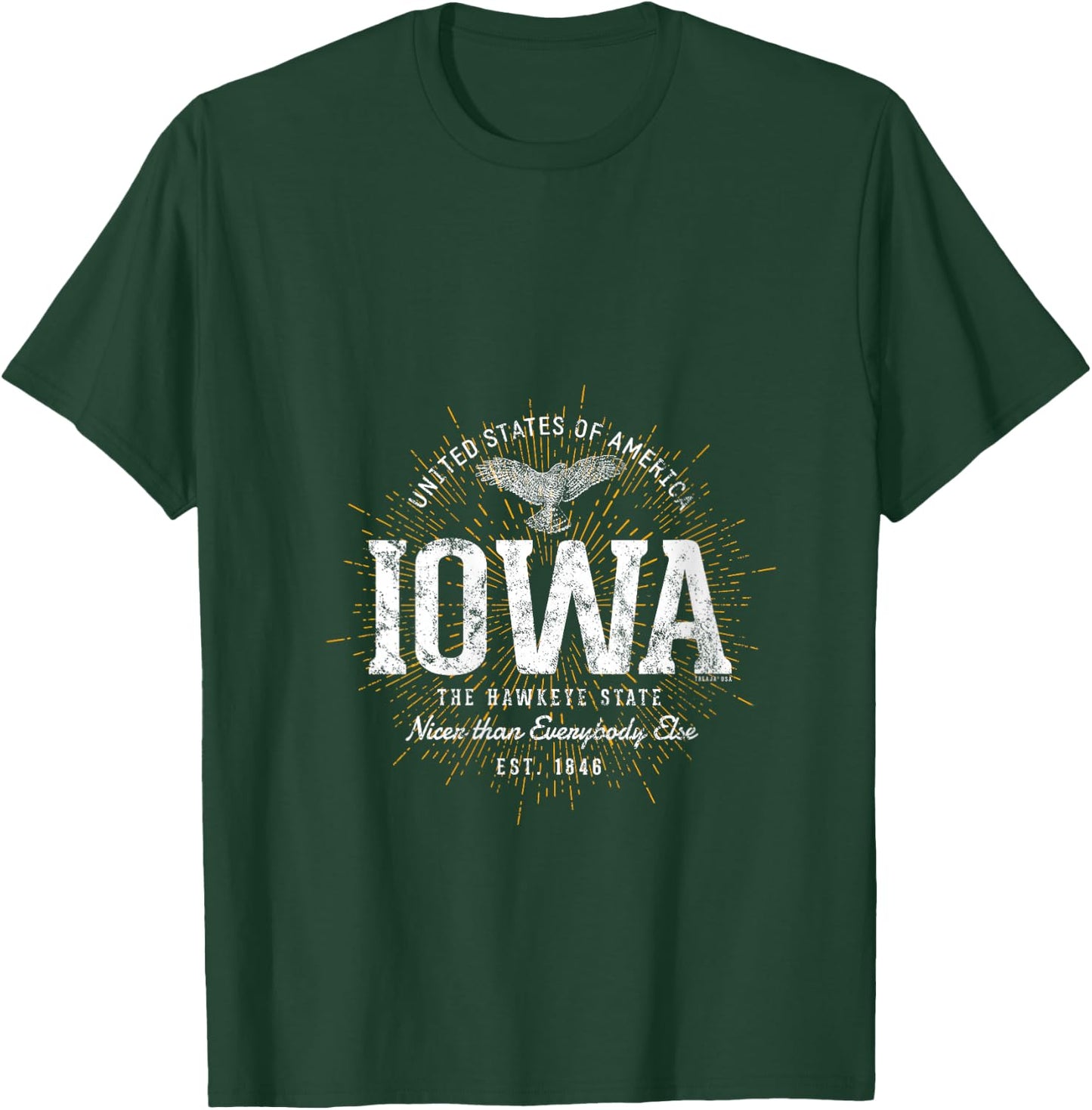 Vintage State of Iowa Retro V-Neck T-Shirt - T-Shirt | Forest