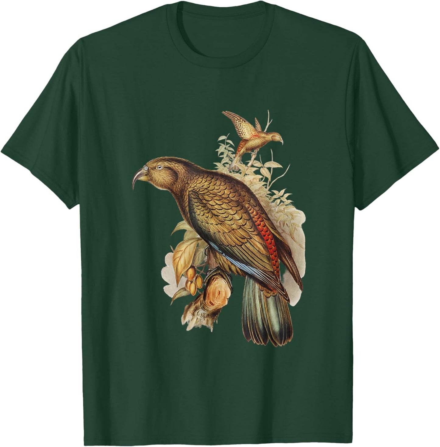 Vintage Kea Parrot Birds Illustration & Women T-Shirt - T-Shirt | Forest