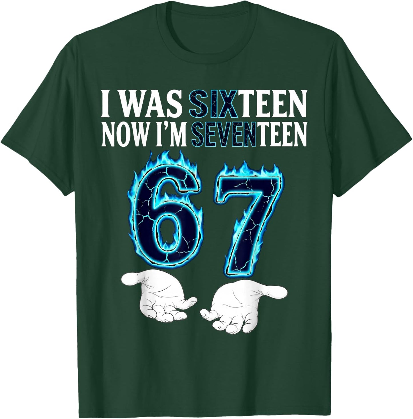 I was 16 Now I’m 17 Year Old Funny Meme Retro Seventeen T-Shirt - T-Shirt | Forest