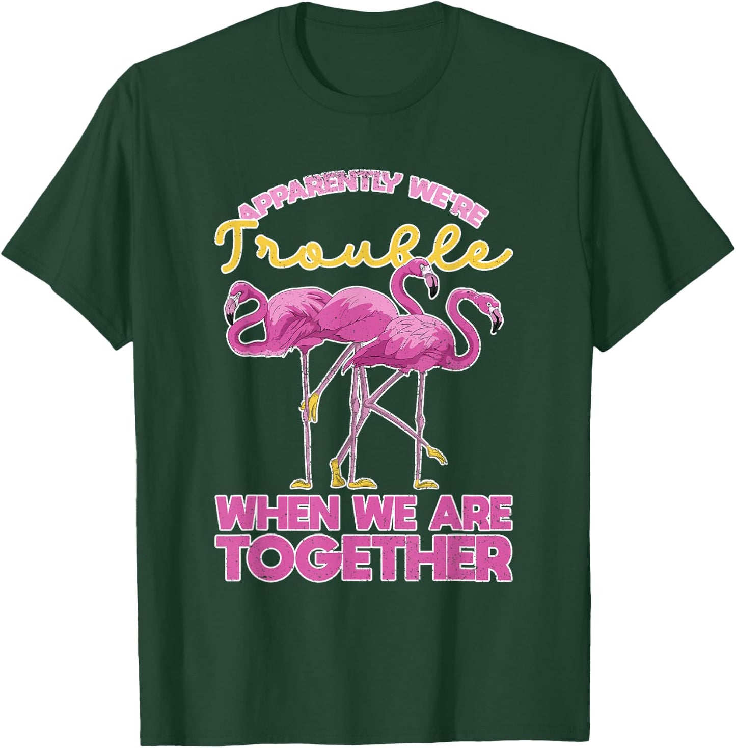 Apparently Were Trouble When We Are Together Funny Flamingo T-Shirt - T-Shirt | Forest