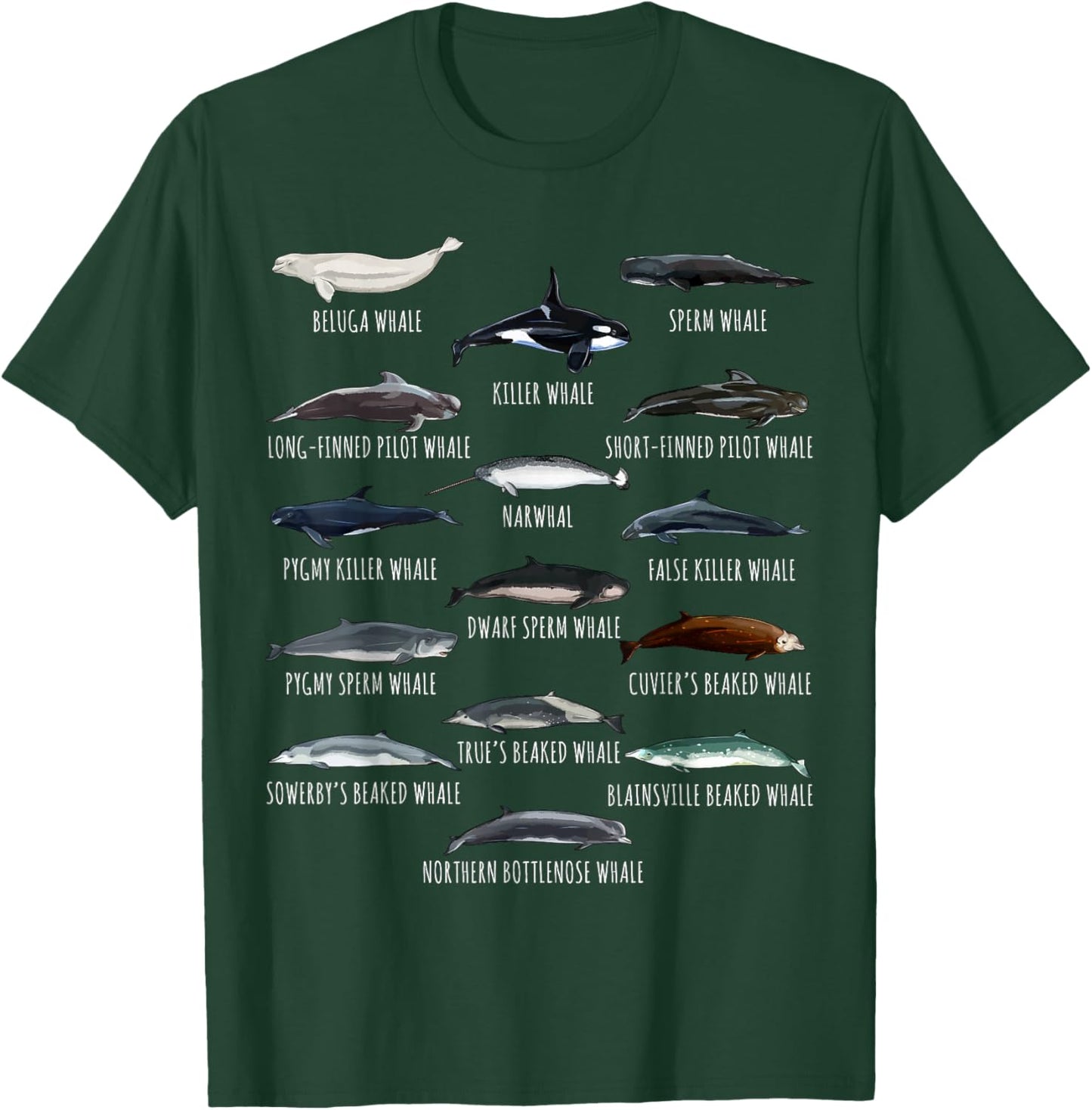 Whales Species Biology Different Types Of Whales T-Shirt - T-Shirt | Forest