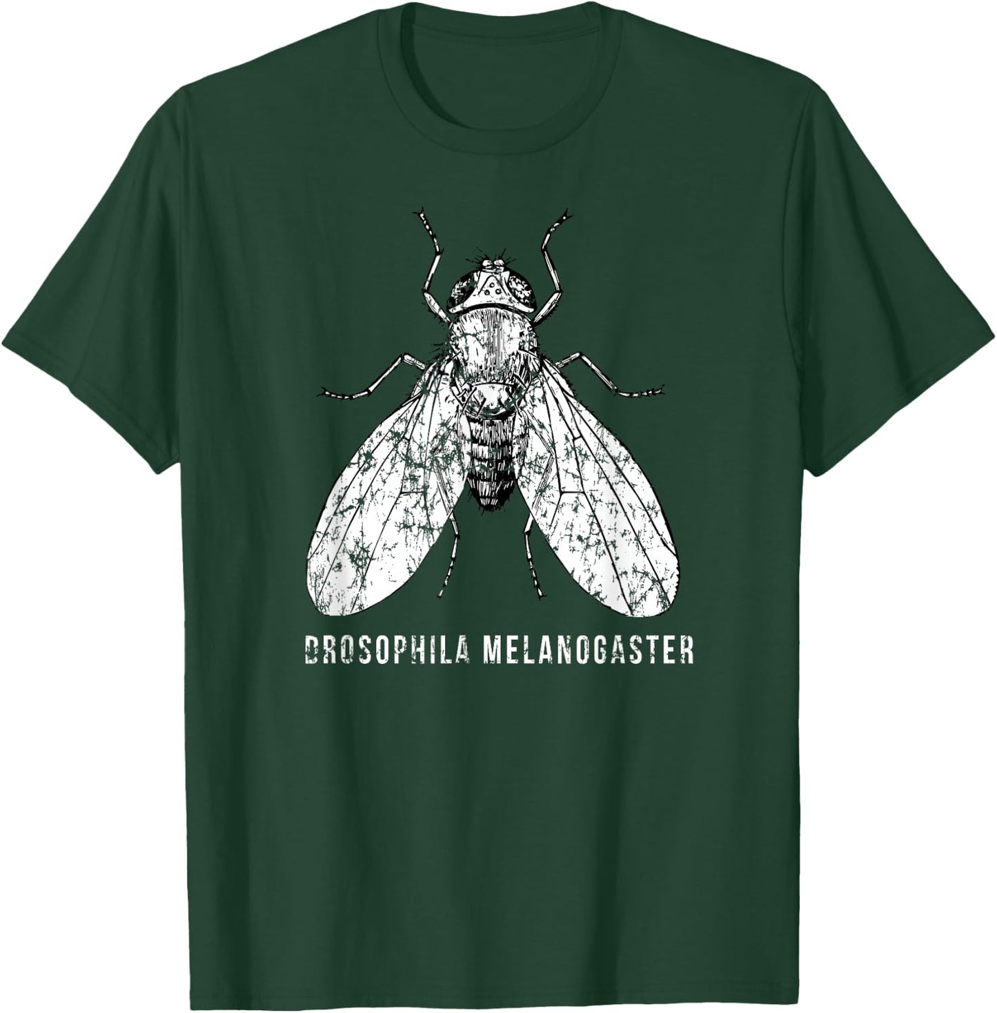 Drosophila Melanogaster for Scientists and Researchers T-Shirt - T-Shirt | Forest
