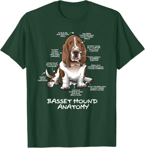 Funny Cute Basset Hound Anatomy Dog Biology Women T-Shirt - T-Shirt | Forest