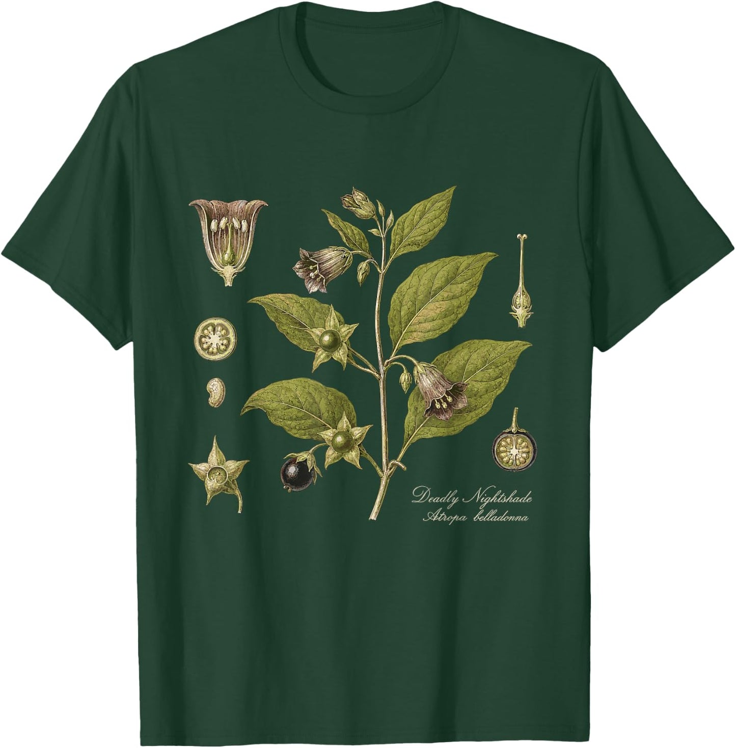 Deadly Nightshade Atropa Belladonna Vintage Botanical T-Shirt - T-Shirt | Forest