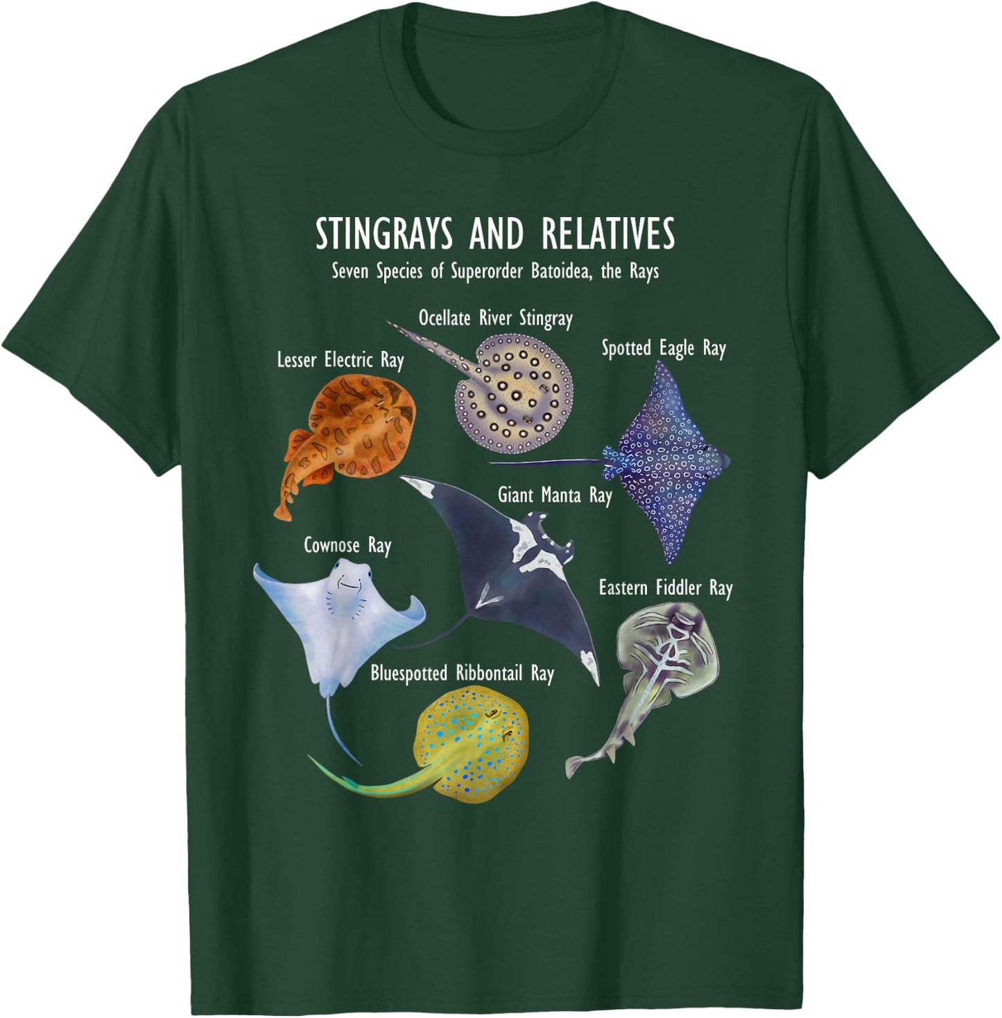 Stingray Species: Manta Ray, River Stingray, and More T-Shirt - T-Shirt | Forest