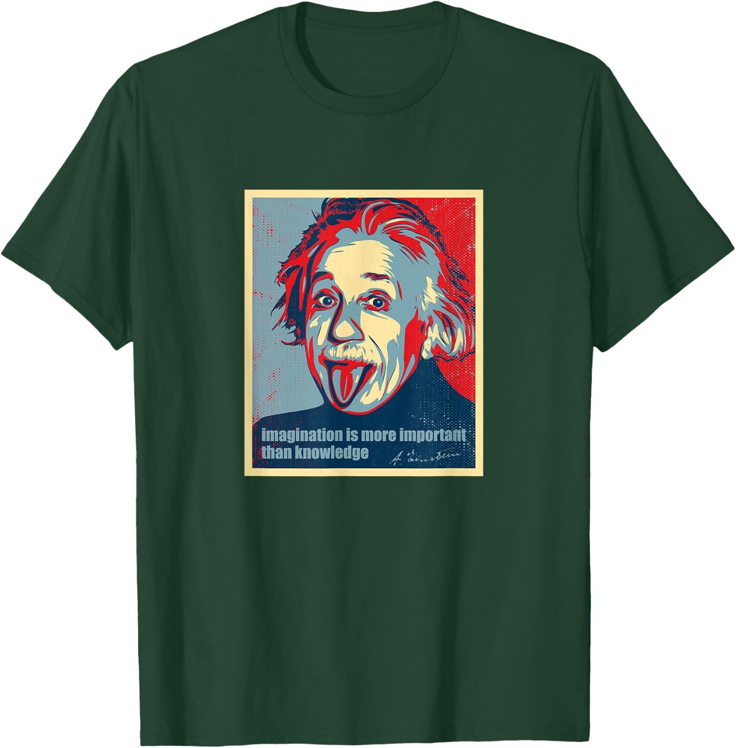 Imagination is more important than knowledge T-Shirt - T-Shirt | Forest
