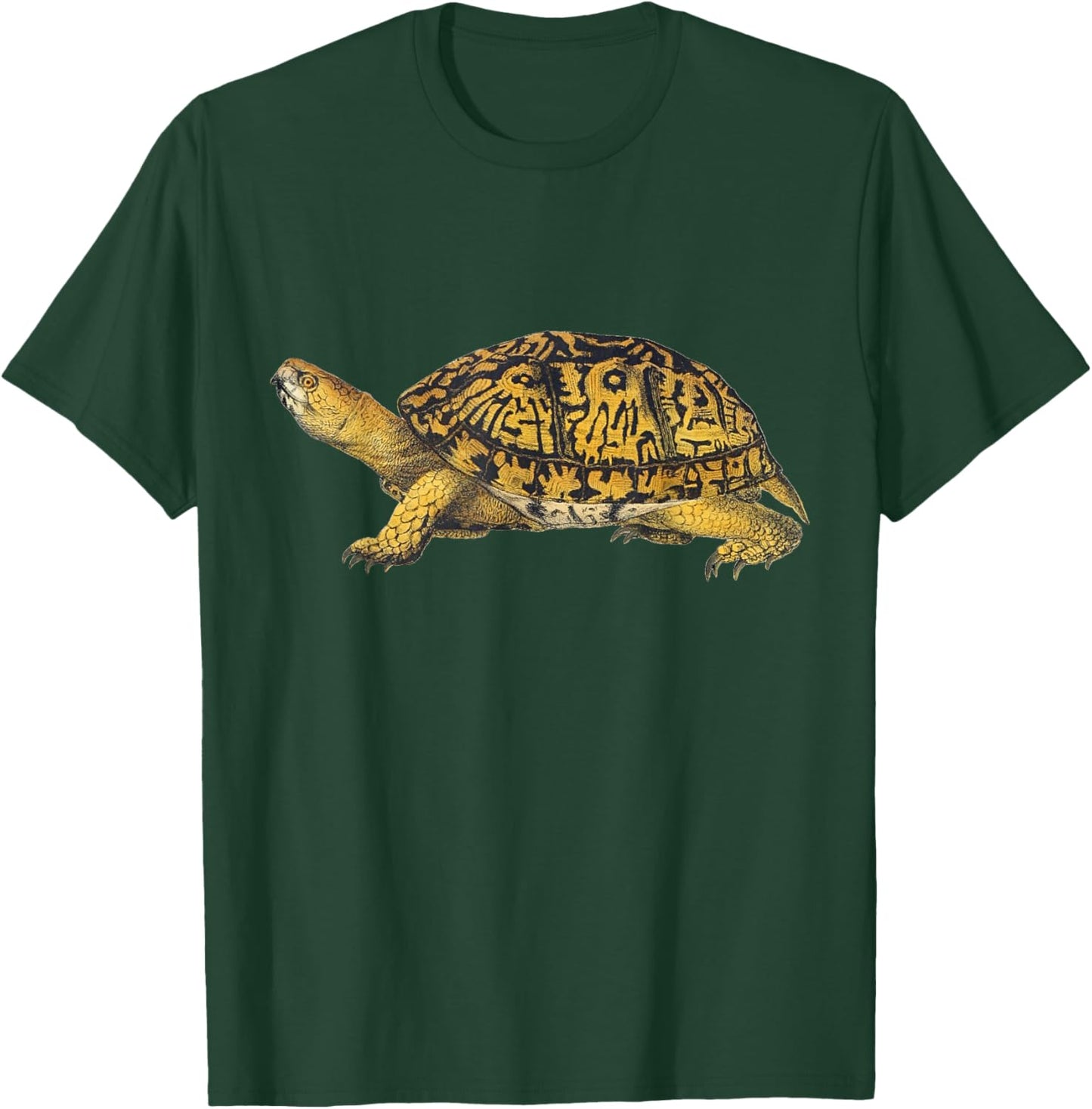 Eastern Box Turtle T-Shirt - T-Shirt | Forest