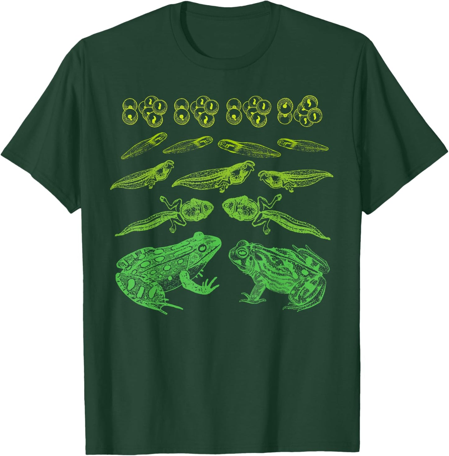 Frog Tadpole Life Cycle Biology Teacher Vintage Science T-Shirt - T-Shirt | Forest
