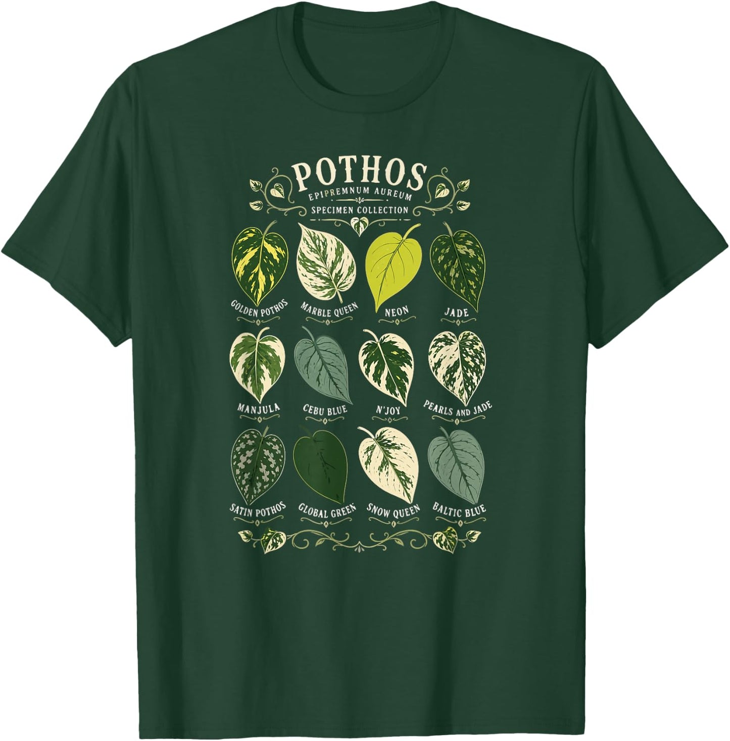 Pothos Plant Varieties Botanical Houseplant Design T-Shirt - T-Shirt | Forest