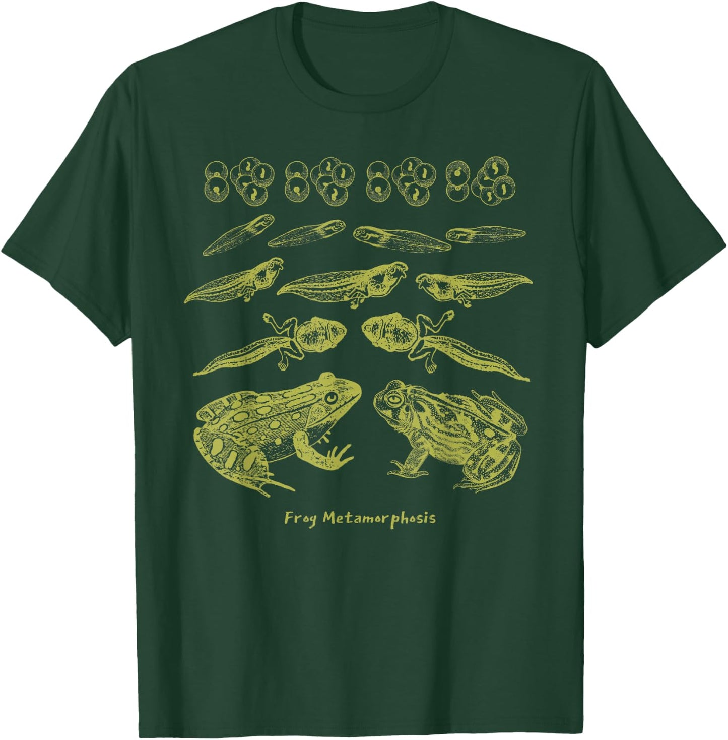 Frog Tadpole Life Cycle Biology Teacher Vintage Science T-Shirt - T-Shirt | Forest