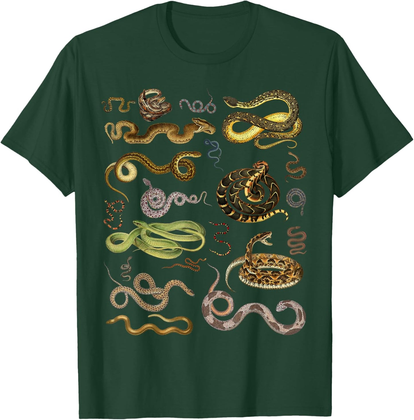 Types Of Snakes Herpetologist Educational Kids Boys Girls T-Shirt - T-Shirt | Forest