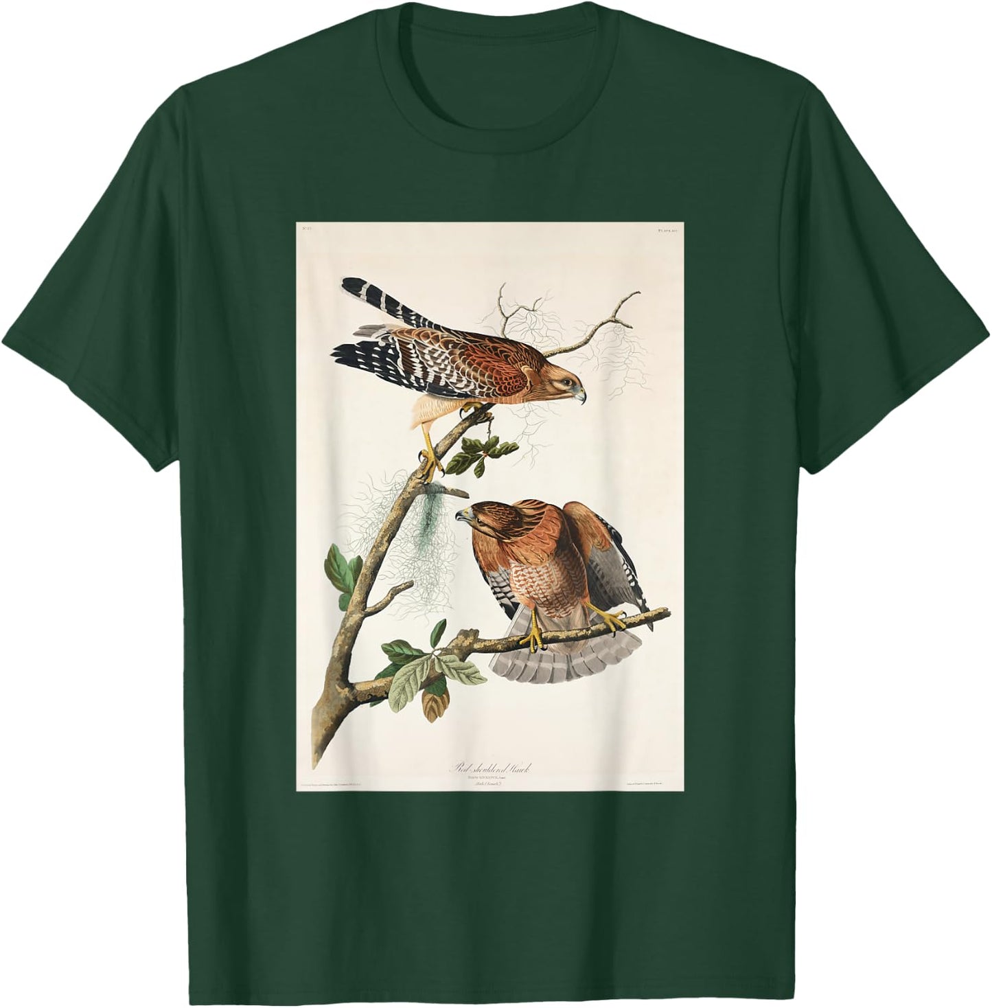 Vintage Red-Shouldered Hawks Birds Illustration Men & Women T-Shirt - T-Shirt | Forest