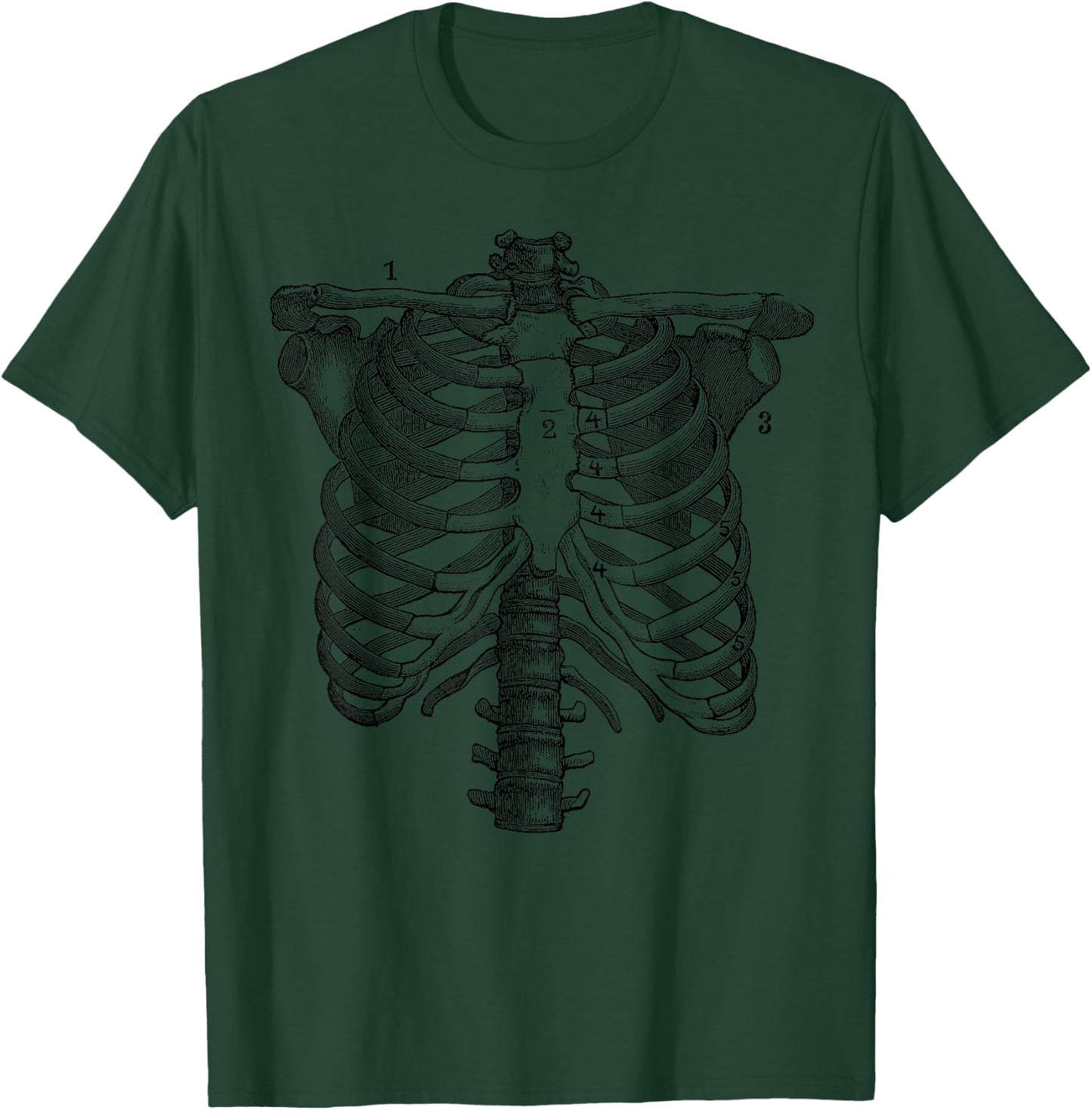 Ribcage Anatomy Print T-Shirt - T-Shirt | Forest