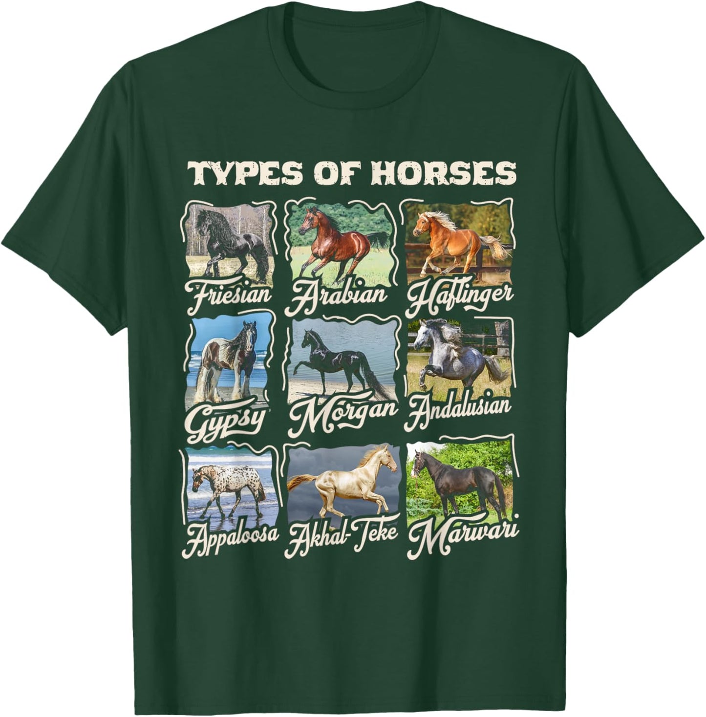 Funny Horse Breeds Cute Animal Gift Teen Girls Women Riding T-Shirt - T-Shirt | Forest