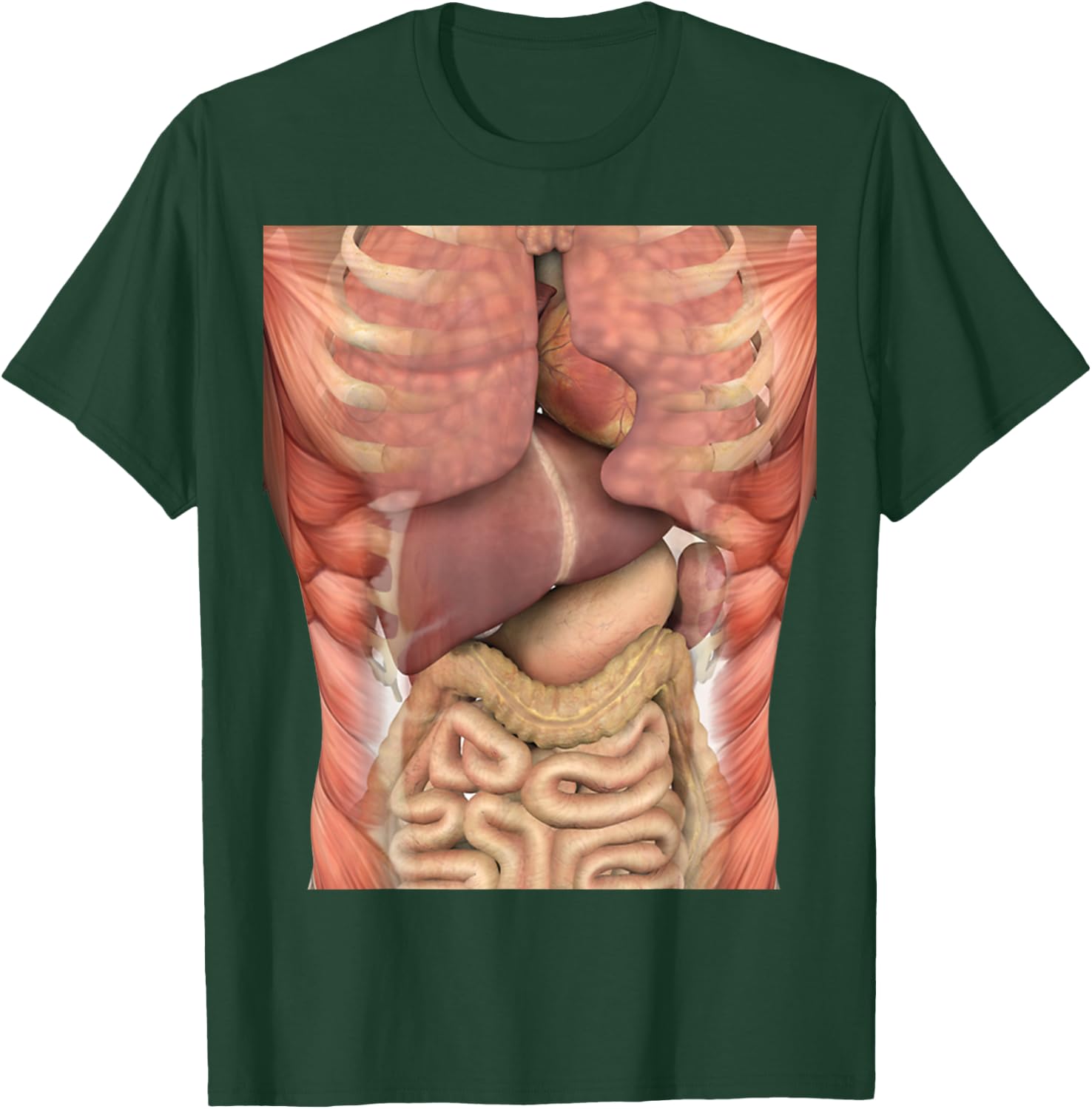 Human Muscles Organs Scary Anatomy Teacher Halloween Costume T-Shirt - T-Shirt | Forest