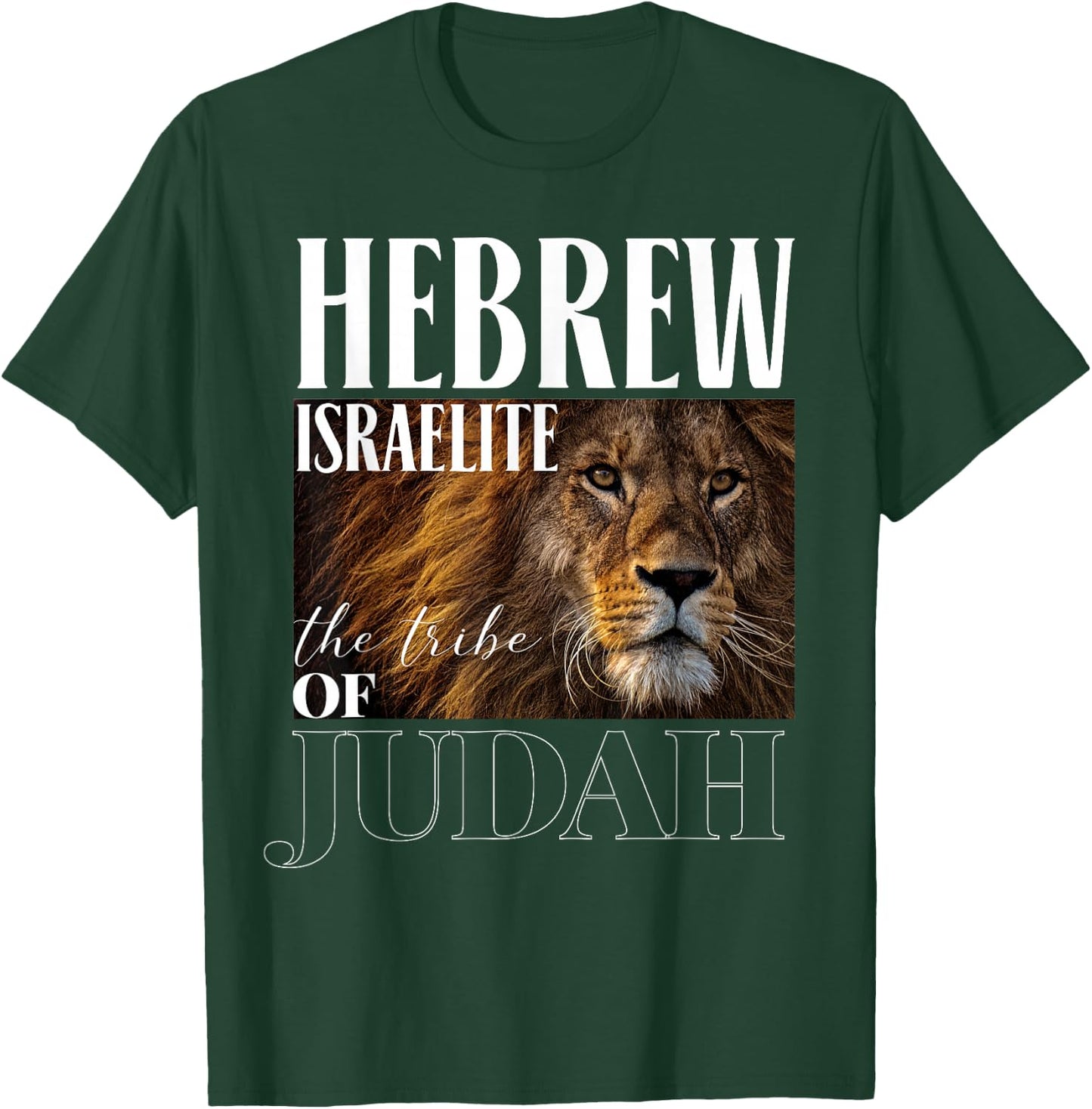 Hebrew Israelite Lion of Judah Jewish Jew Gift T-Shirt - T-Shirt | Forest