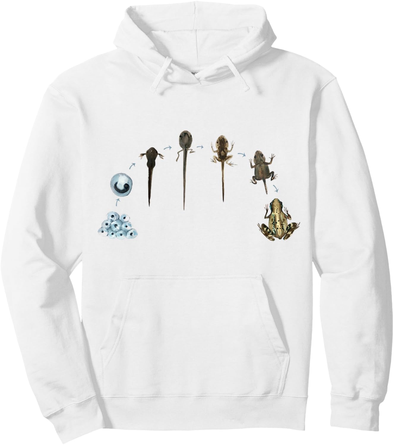 Frog Life Cycle Amphibian Frog Lover Biology Science Tadpole Hoodie - Hoodie | White