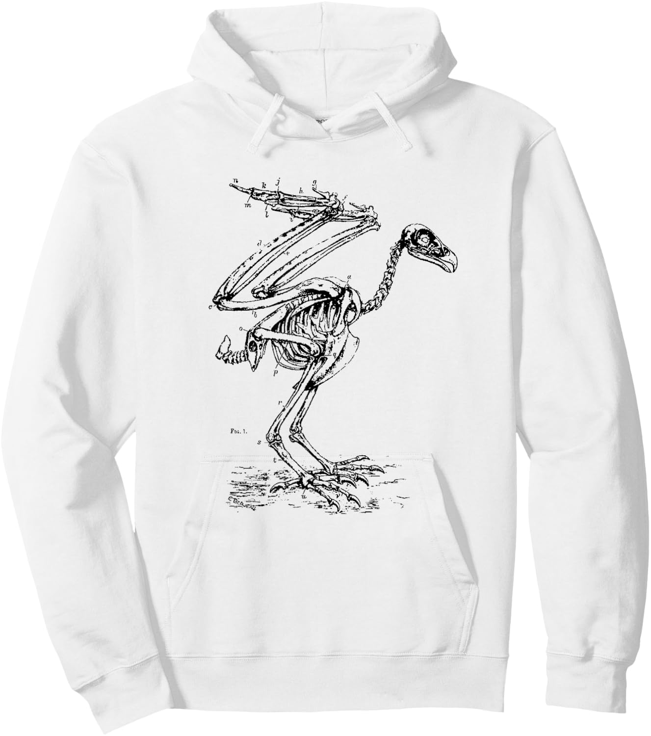 Vintage Eagle Skeleton - Scientific Diagram Bird Skull Hoodie - Hoodie | White