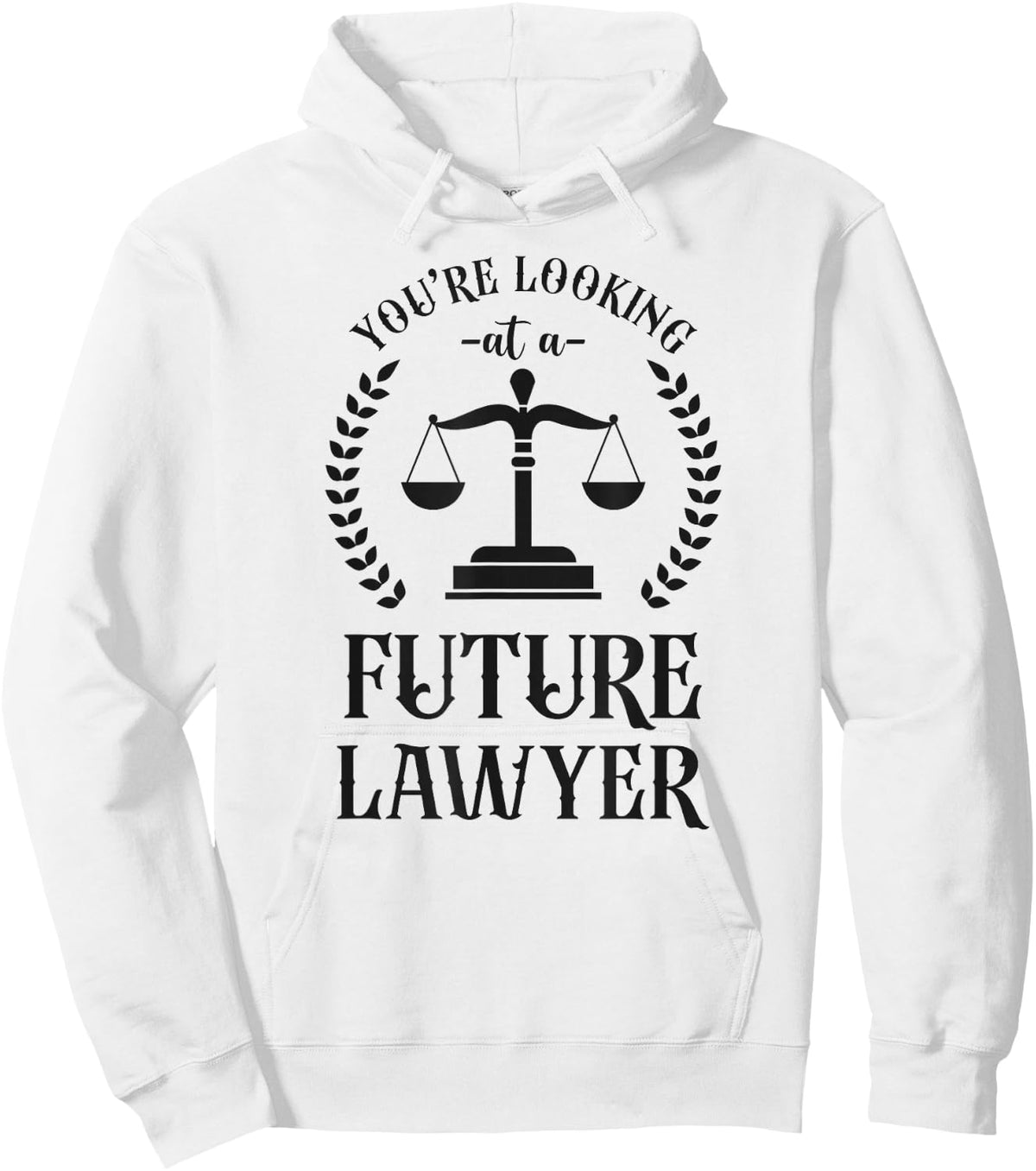 Young Lawyer Attorney Law You'Re Looking At A Future Lawyer Hoodie - Hoodie | White
