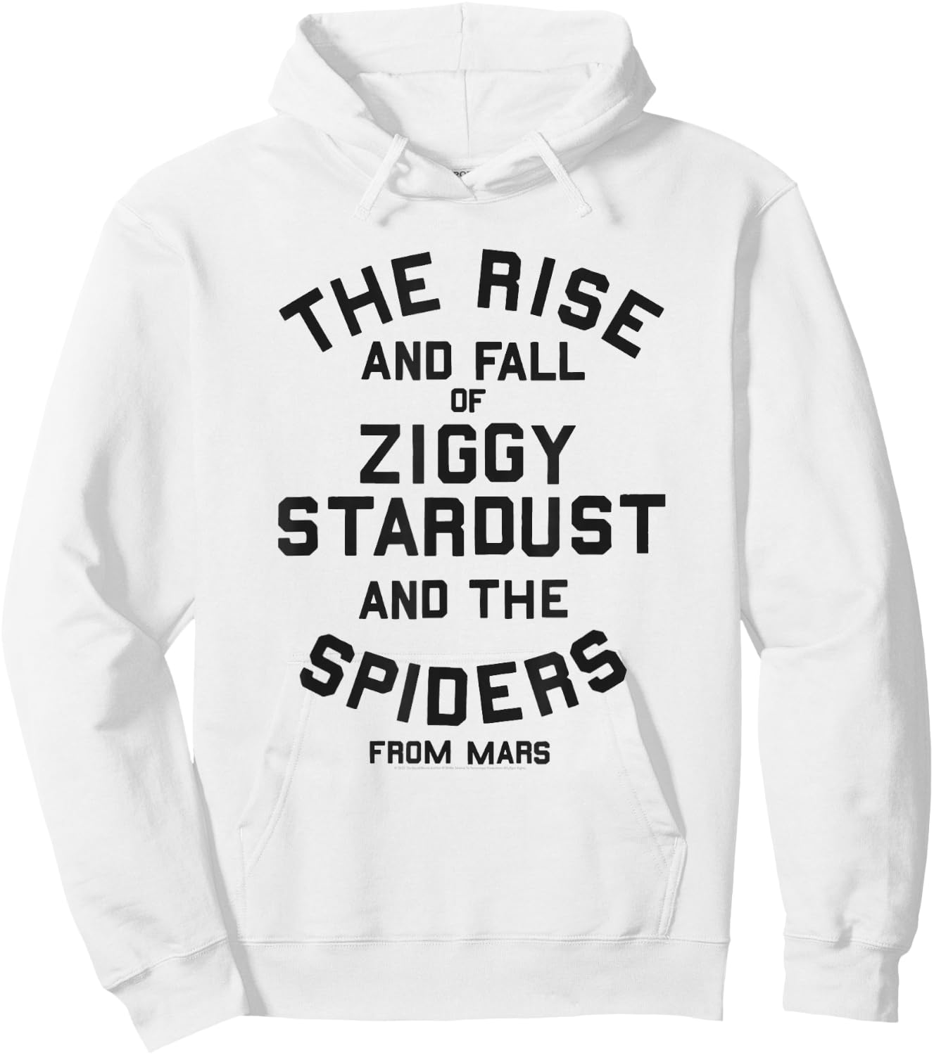 David Bowie - The Rise & Fall Hoodie - Hoodie | White