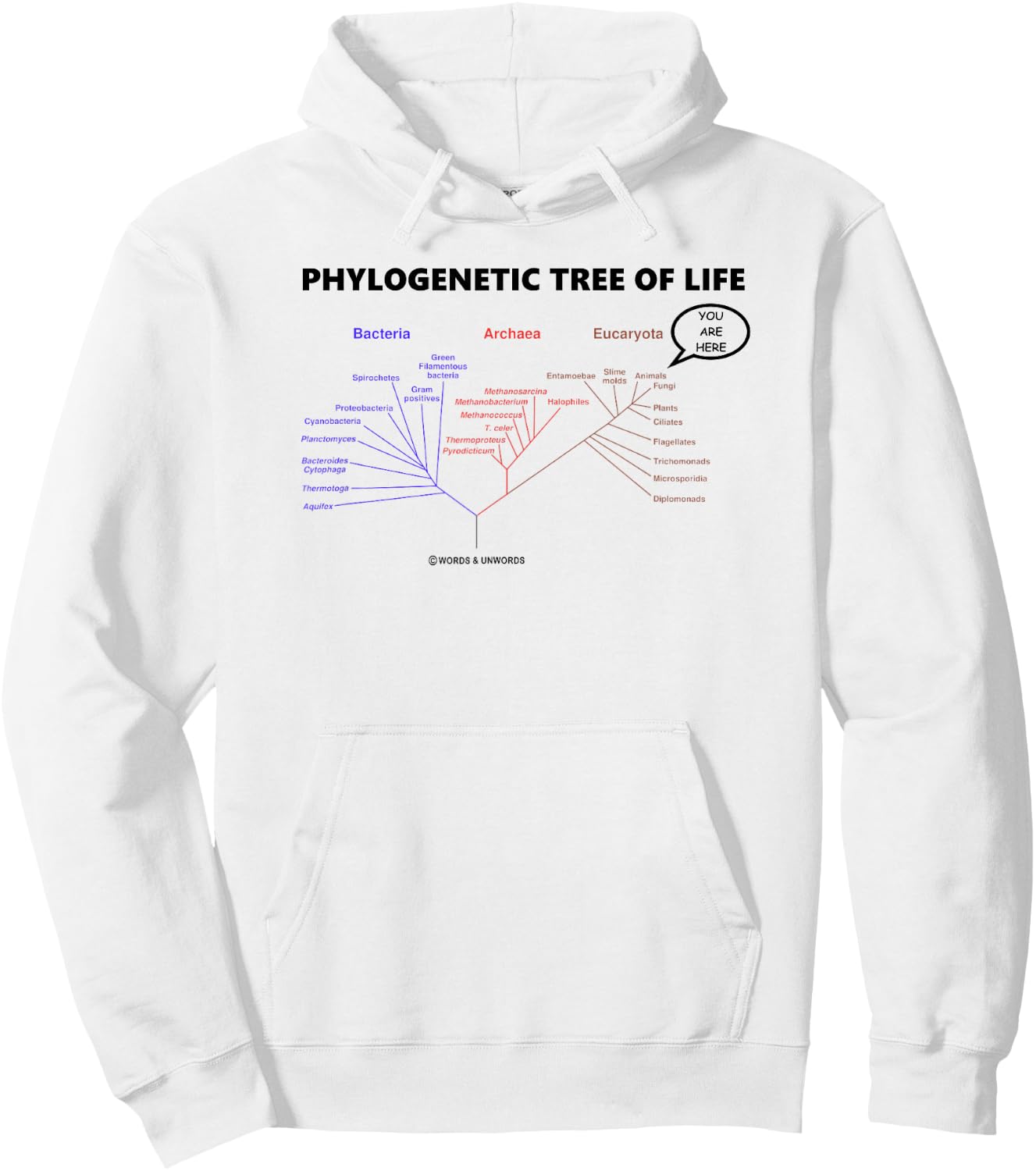 Phylogenetic Tree Of Life You Are Here Biology Geek Humor Hoodie - Hoodie | White