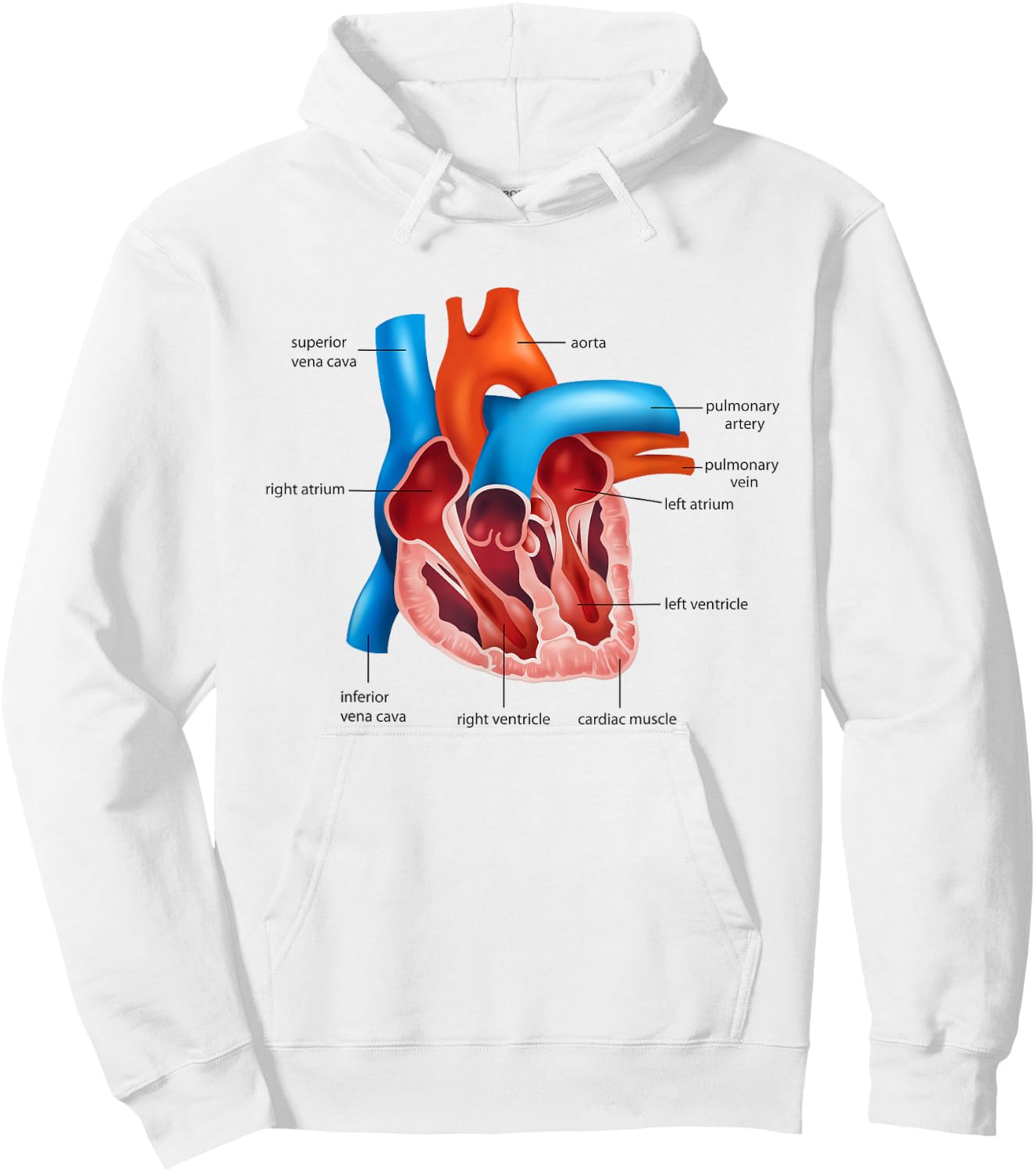Funny Human Heart Anatomy Anatomical Heart Hoodie - Hoodie | White