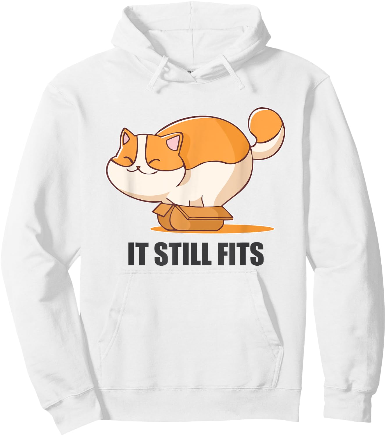 Cat In A Box Funny Fluffy Cat It Still Fits Shirt Hoodie - Hoodie | White