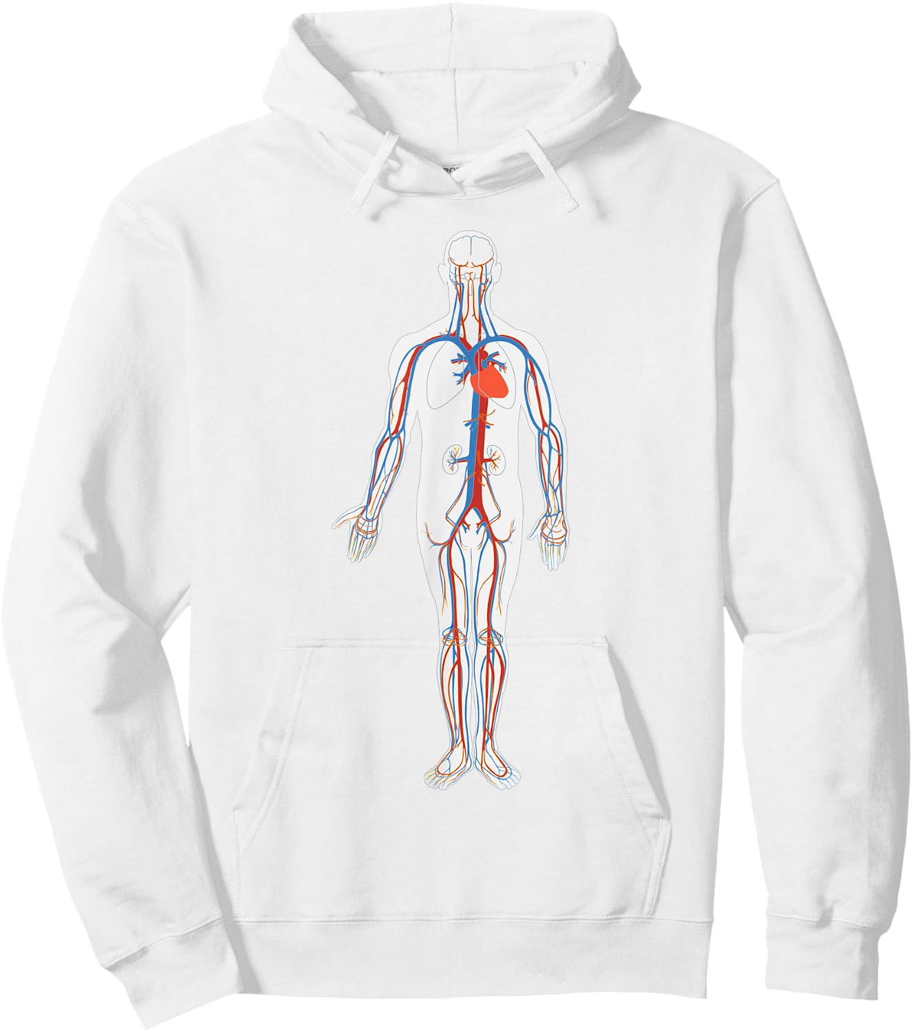 Circulatory System Anatomy Chart Arteries Veins Hoodie - Hoodie | White