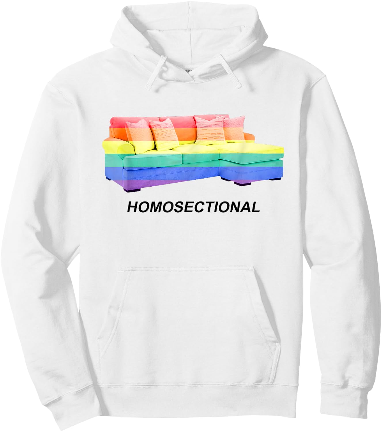 Homosectional LGBT Gay Pride Rainbow Flag Funny Saying Quote Hoodie - Hoodie | White
