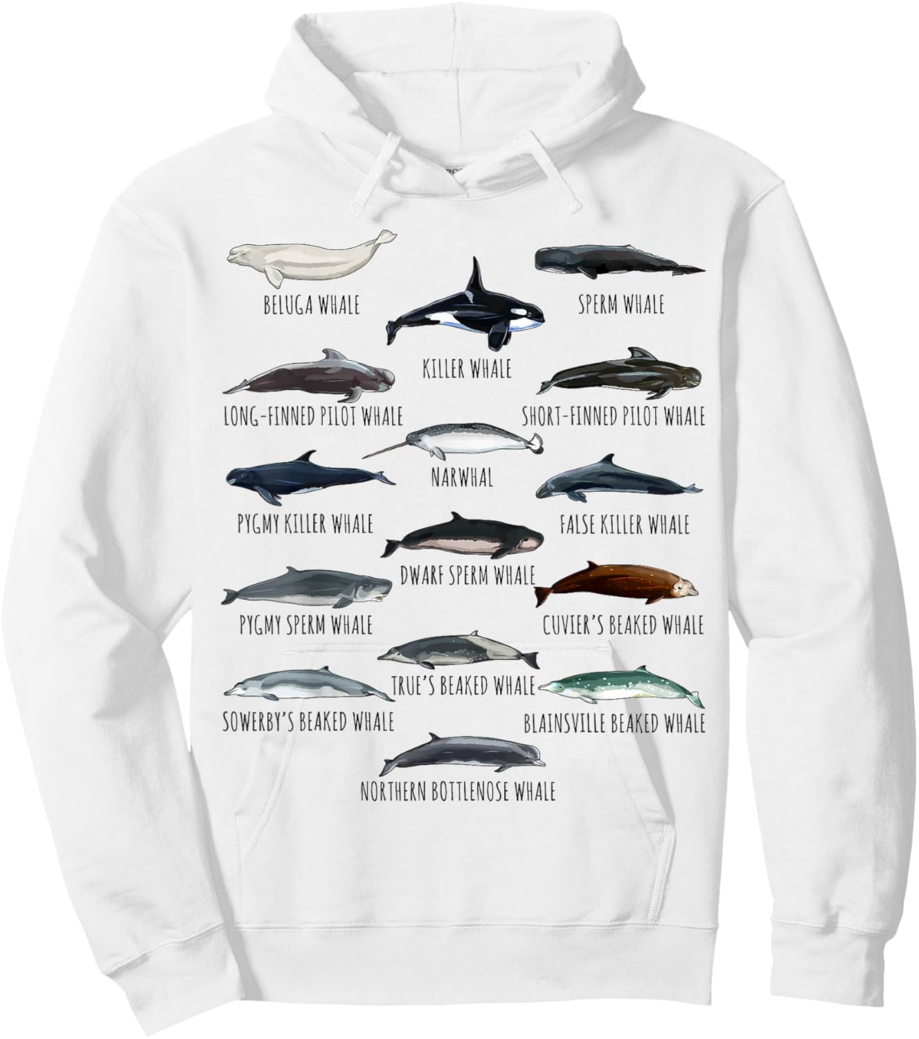 Whales Species Biology Different Types Of Whales Hoodie - Hoodie | White