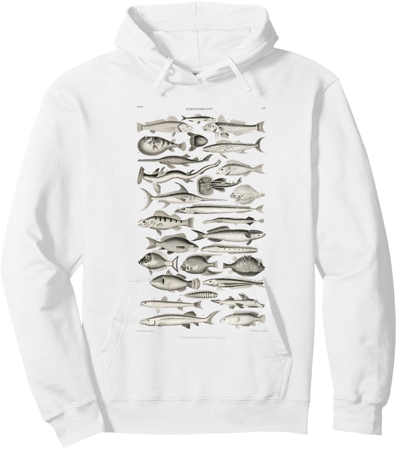 Ichthyology Fishes History Earth And Nature Sea Antique Art Hoodie - Hoodie | White