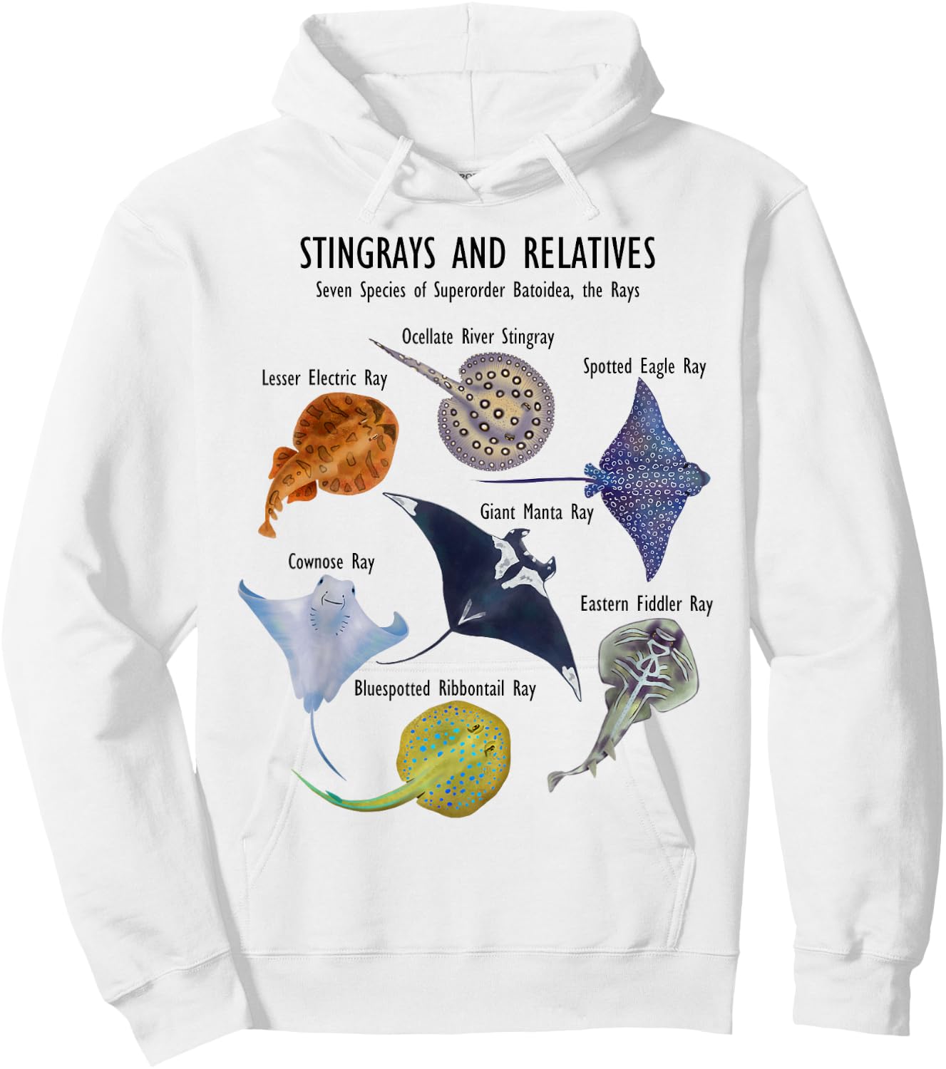 Stingray Species: Manta Ray, River Stingray, and More Hoodie - Hoodie | White