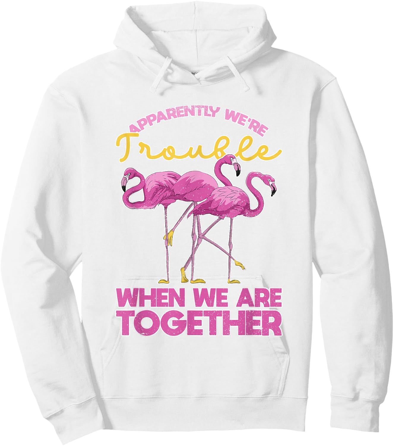 Apparently Were Trouble When We Are Together Funny Flamingo Hoodie - Hoodie | White