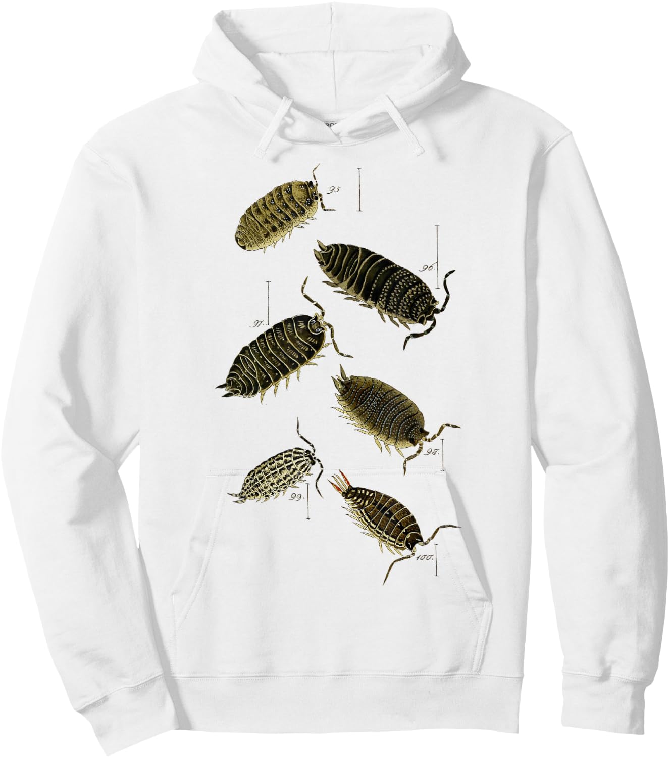 Pill Bug Porcellio scaber woodlice sowbugs Hoodie - Hoodie | White