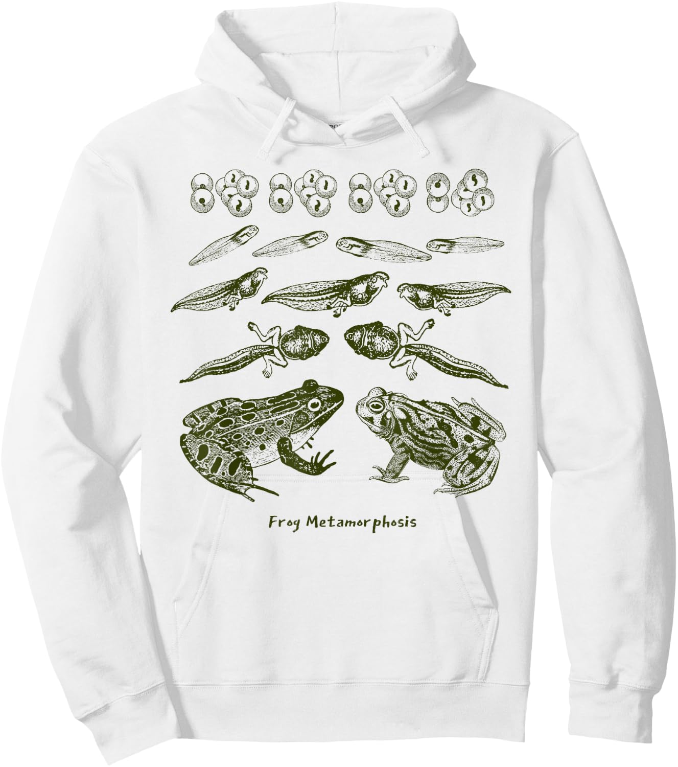 Frog Tadpole Life Cycle Metamorphosis Biology Science Hoodie - Hoodie | White