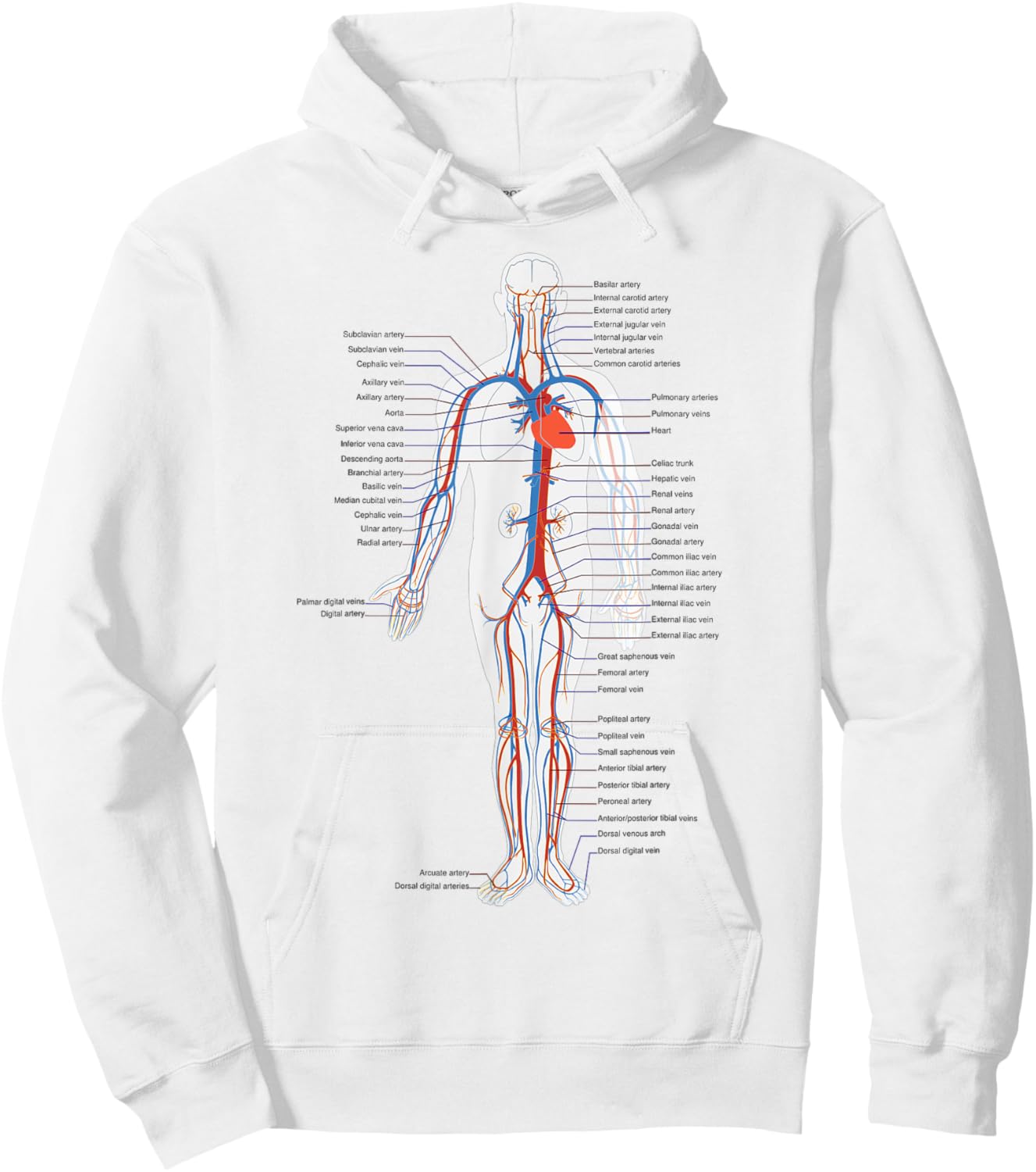The Human Circulatory System Vascular System Anatomy Biology Hoodie - Hoodie | White