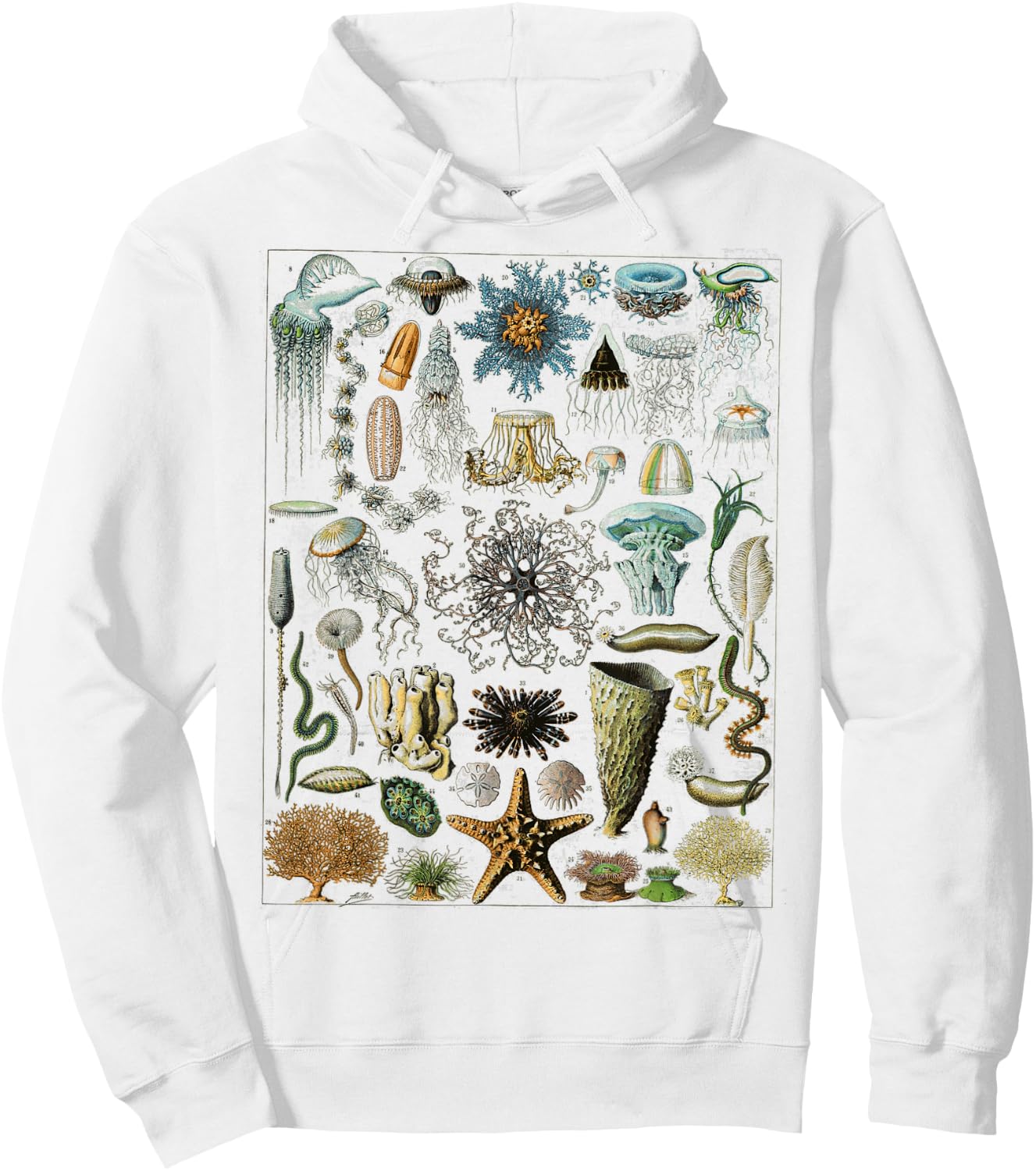 Oceanography Ocean Zoology biologists sailing Hoodie - Hoodie | White