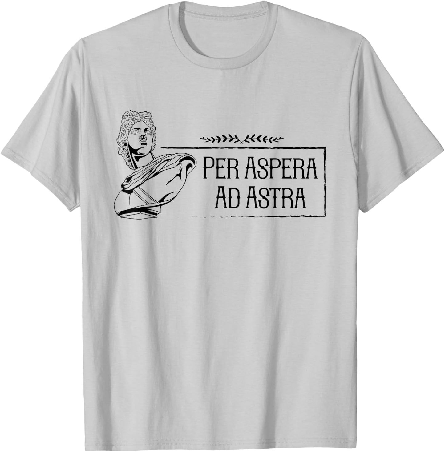 Latin saying - Per Aspera Ad Astra T-Shirt - T-Shirt | Ash