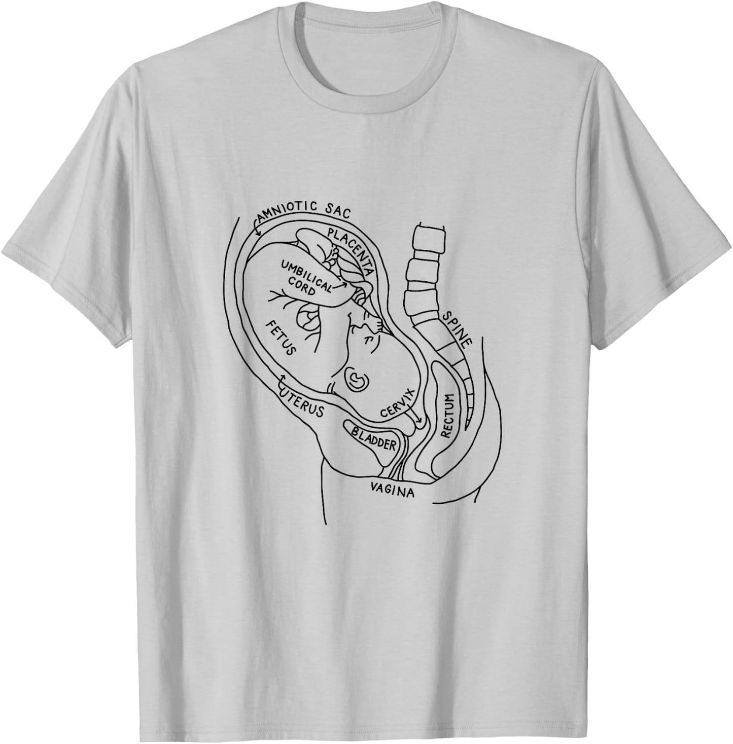 Pregnancy Anatomy Doula Midwife Mom Obstetrician OB GYN T-Shirt - T-Shirt | Ash