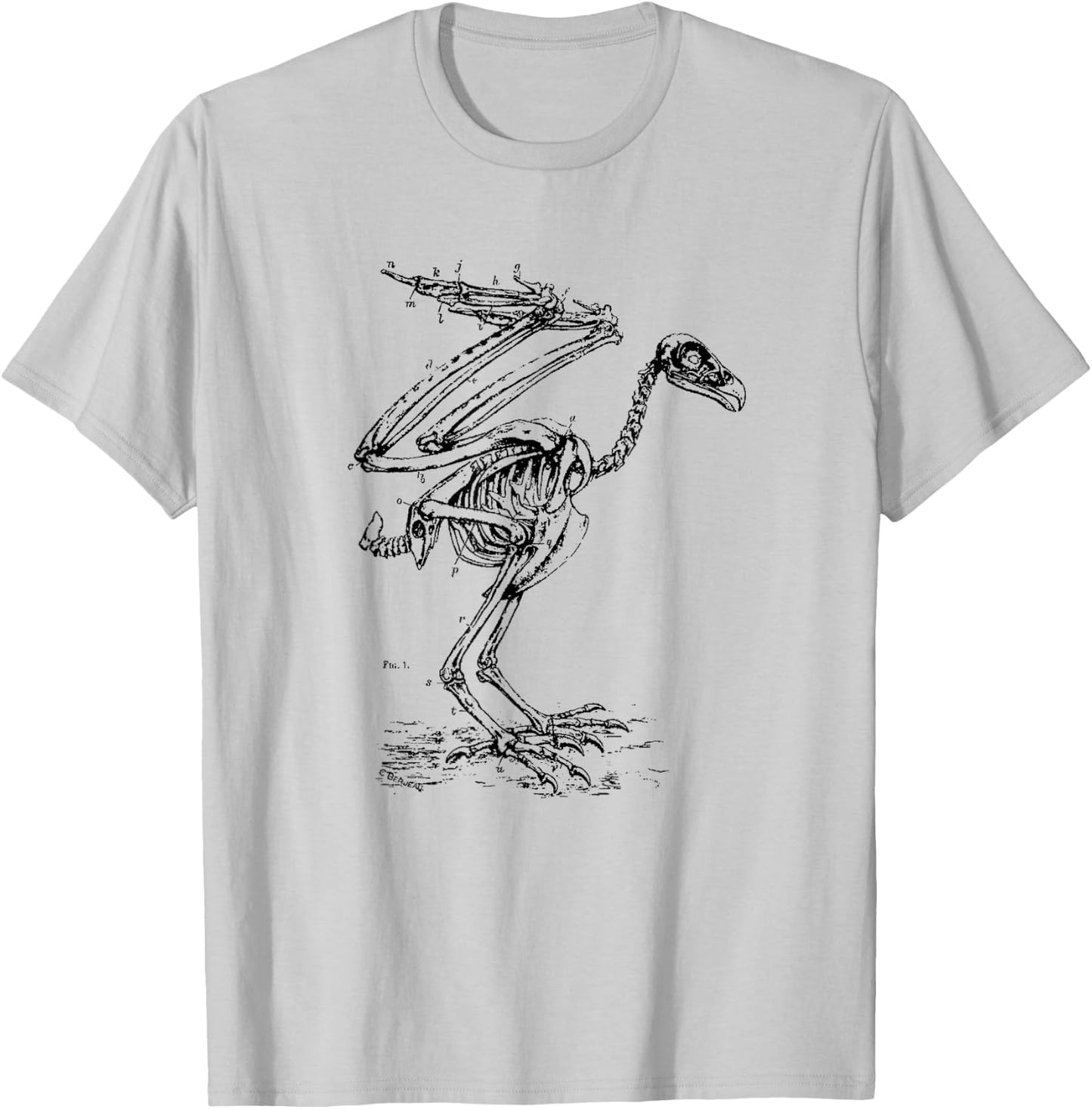 Vintage Eagle Skeleton - Scientific Diagram Bird Skull T-Shirt - T-Shirt | Ash