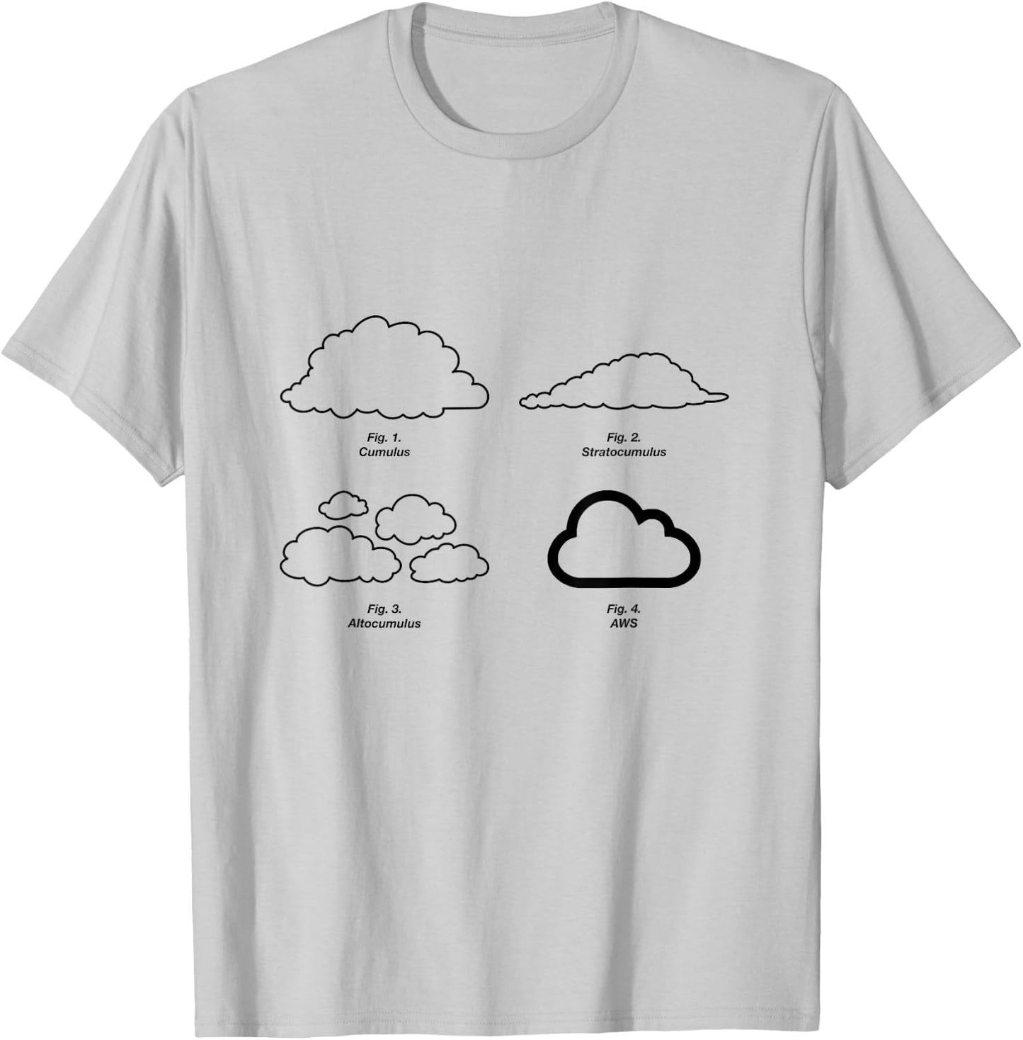 Types of Clouds Diagram - Cloud Server, AWS, Science - Funny T-Shirt - T-Shirt | Ash