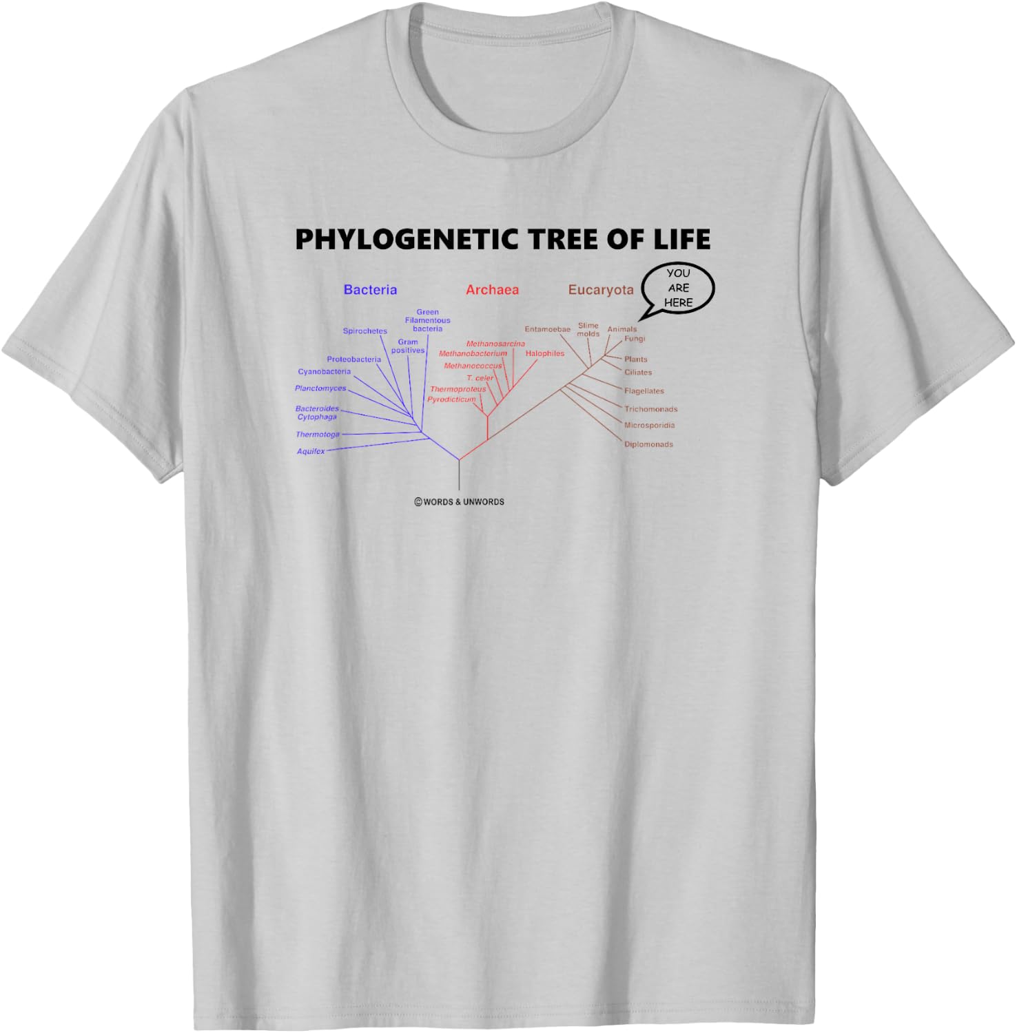 Phylogenetic Tree Of Life You Are Here Biology Geek Humor T-Shirt - T-Shirt | Ash