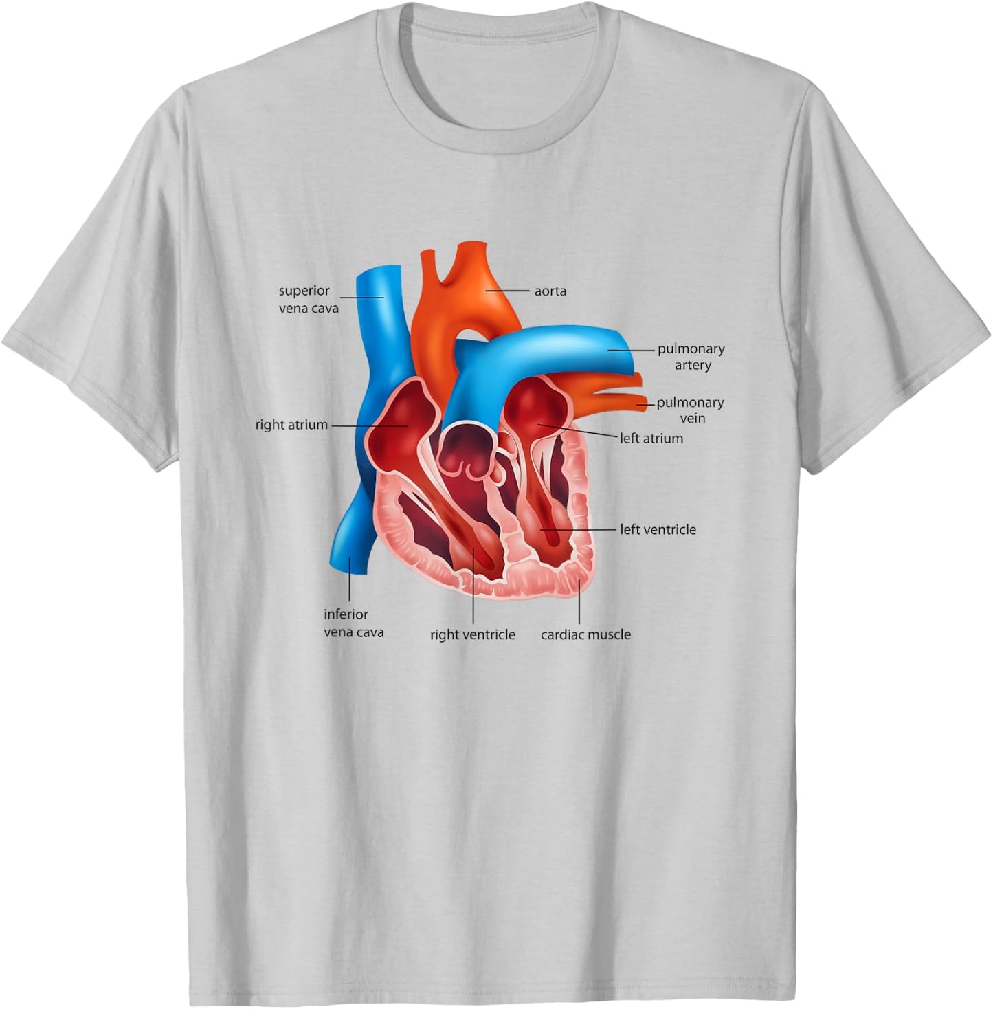 Funny Human Heart Anatomy Anatomical Heart T-Shirt - T-Shirt | Ash