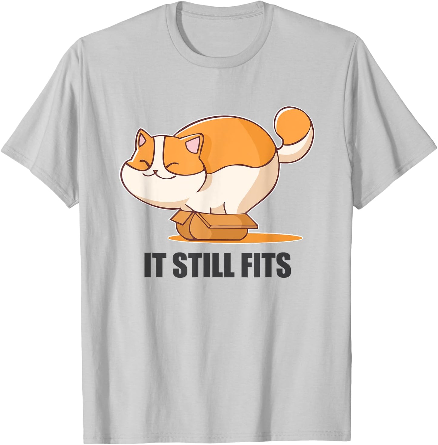 Cat In A Box Funny Fluffy Cat It Still Fits Shirt T-Shirt - T-Shirt | Ash
