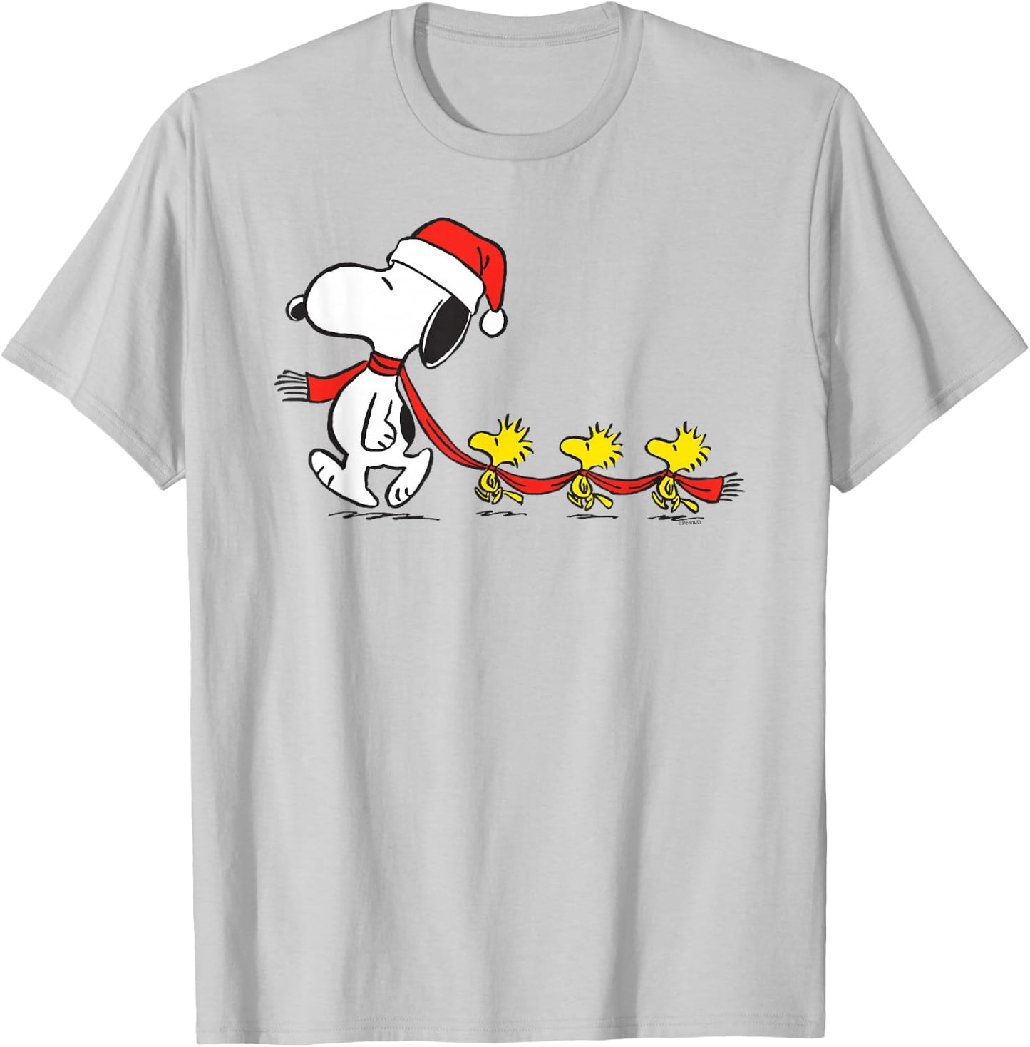 Peanuts Snoopy and Woodstock Holiday Short Sleeve T-Shirt - T-Shirt | Ash