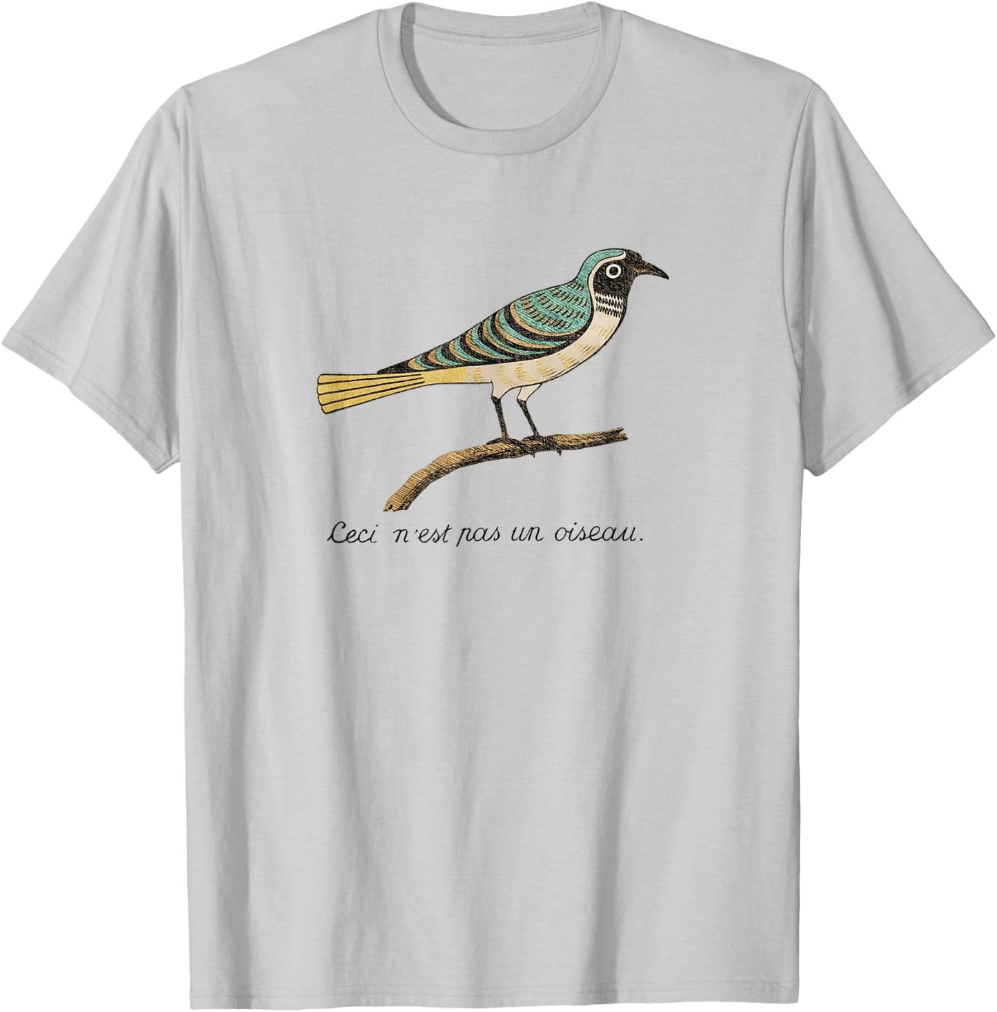 Birds Aren't Real - Ceci n'est pas un oiseau T-Shirt - T-Shirt | Ash